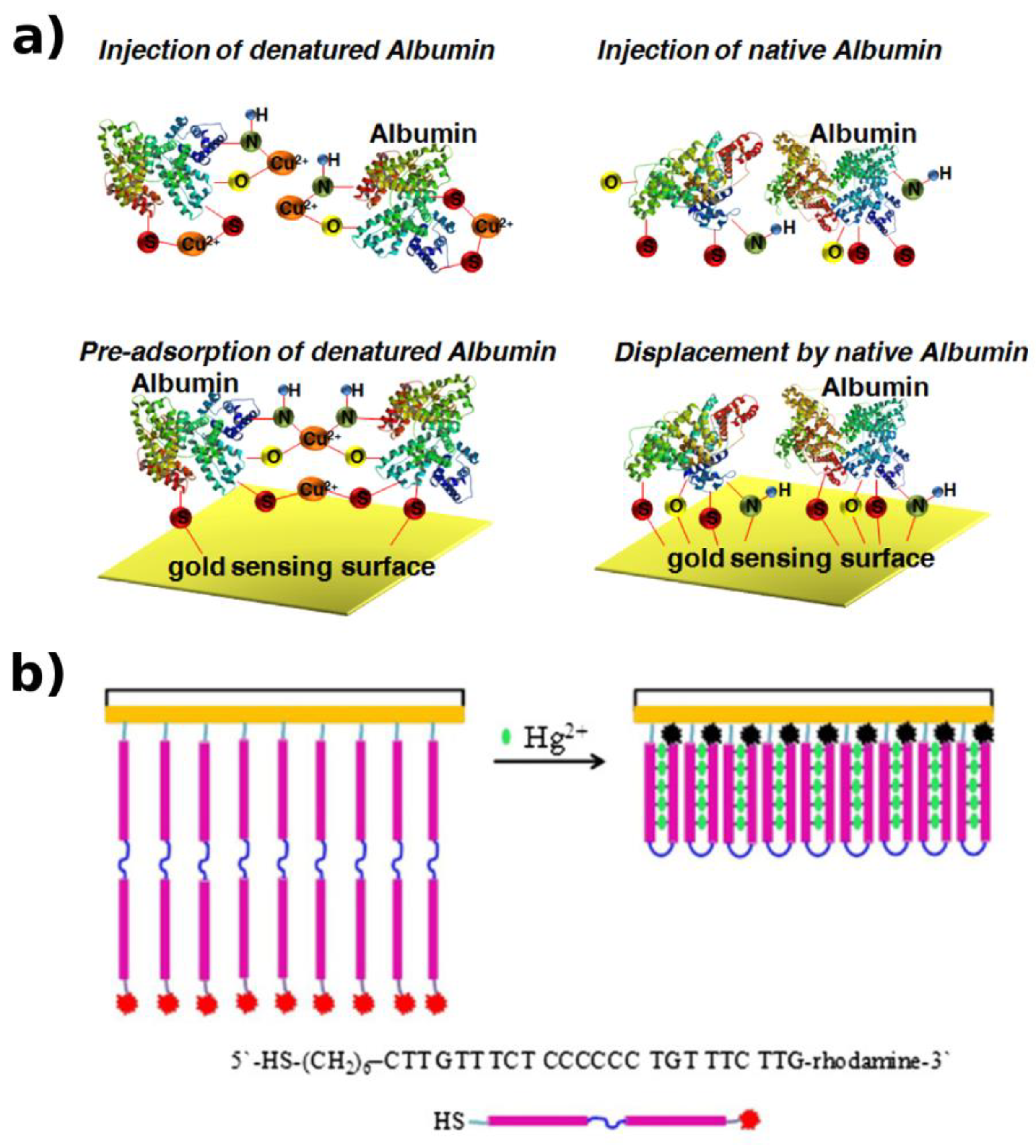 Biosensors 09 00096 g010 Biosensors 09 00096 g010