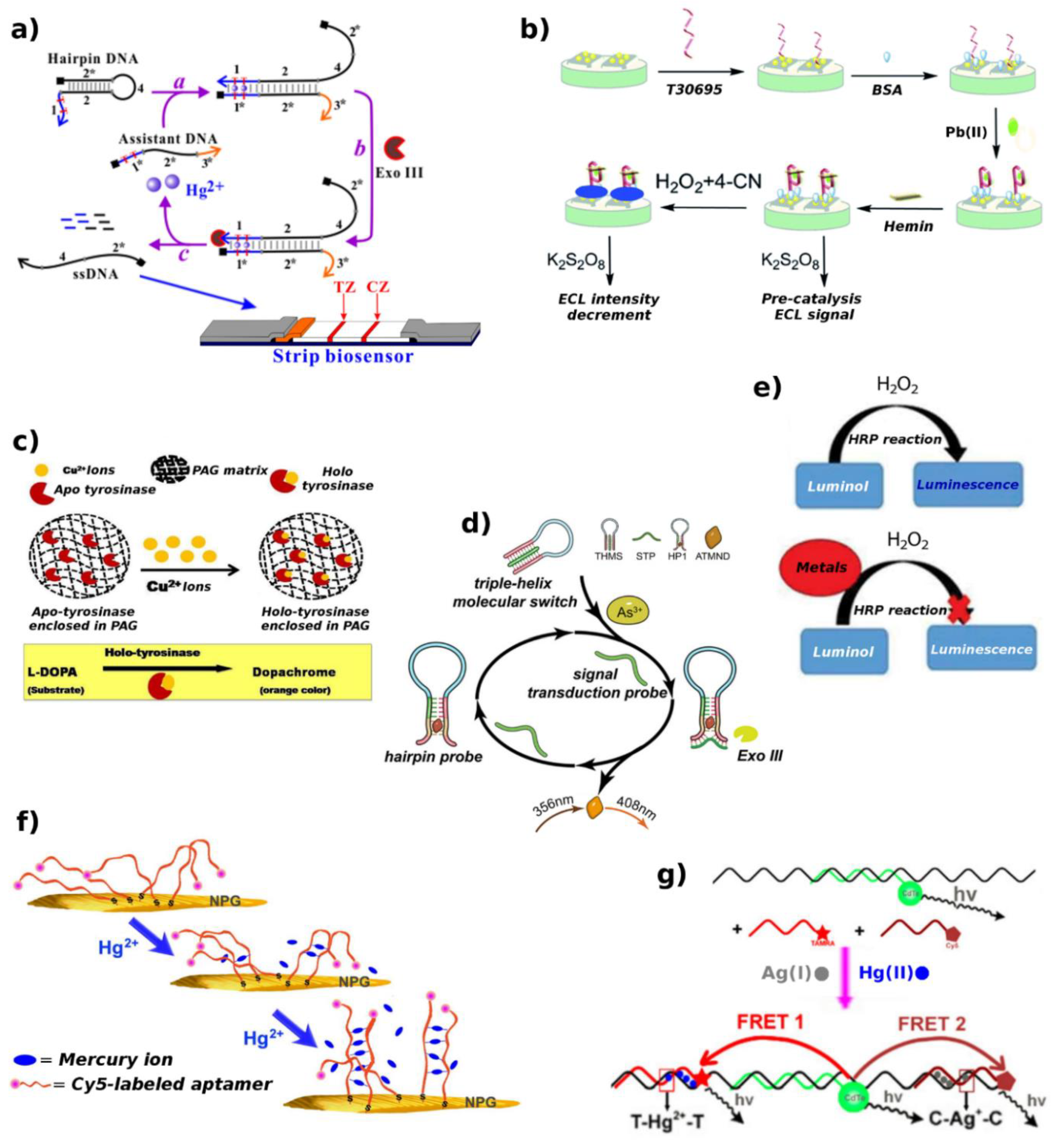 Biosensors 09 00096 g011 Biosensors 09 00096 g011
