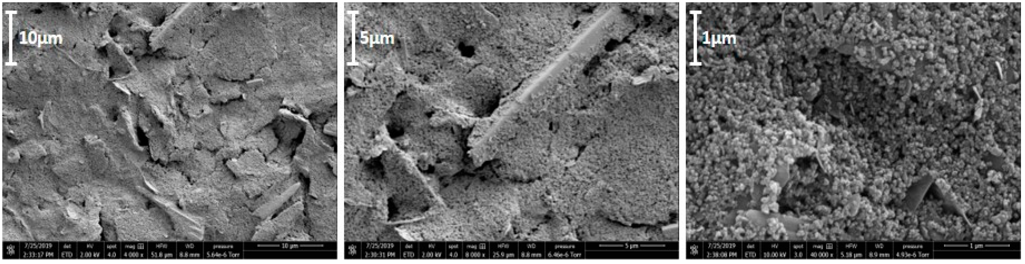 Biosensors 09 00098 g003 Biosensors 09 00098 g003