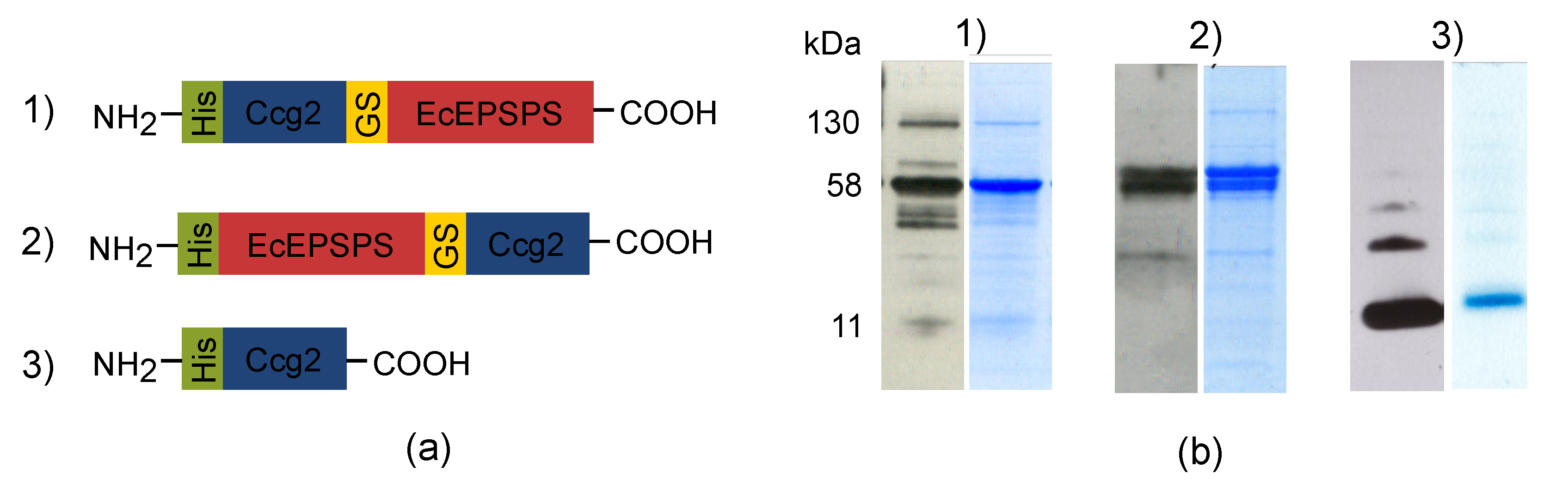 Biosensors 09 00104 g001