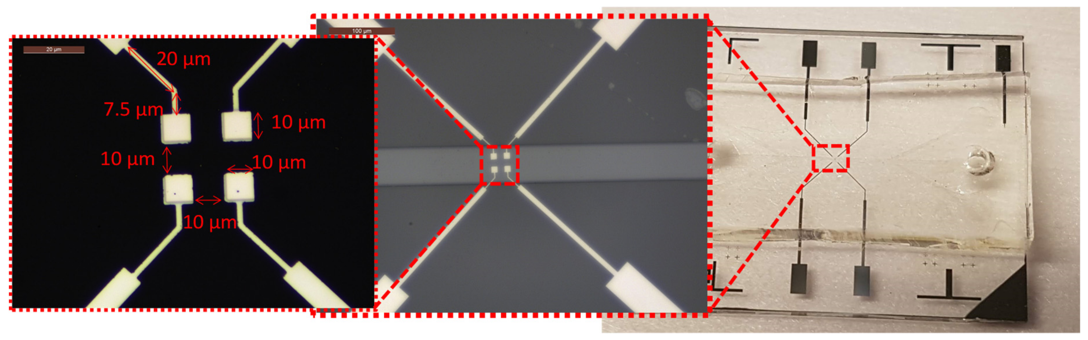 Biosensors 09 00108 g006 Biosensors 09 00108 g006