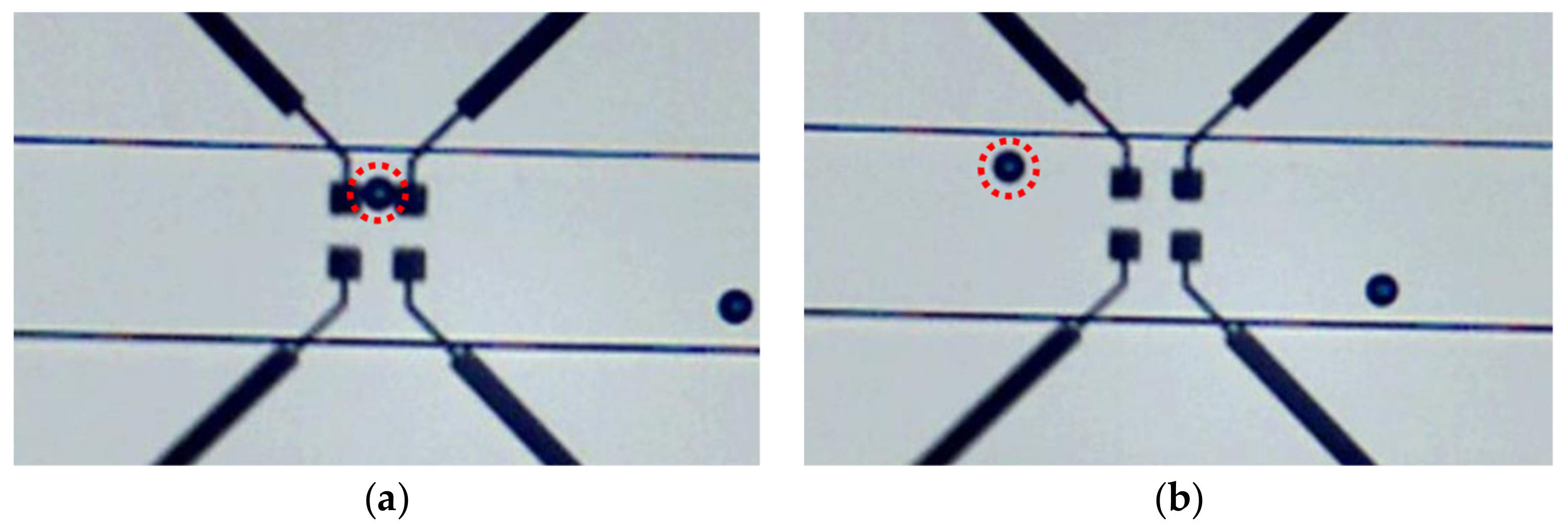 Biosensors 09 00108 g008 Biosensors 09 00108 g008