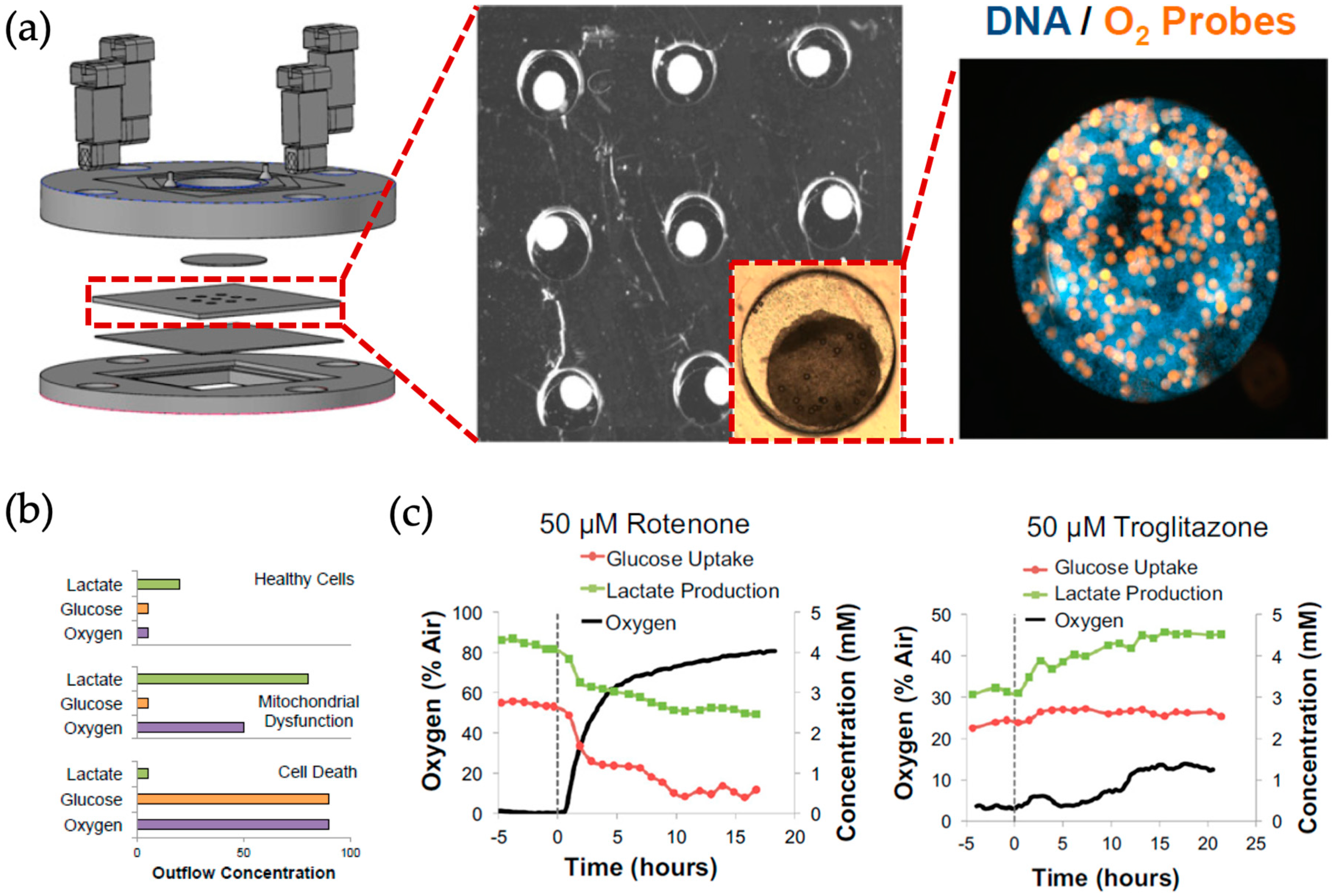 Biosensors 09 00110 g001