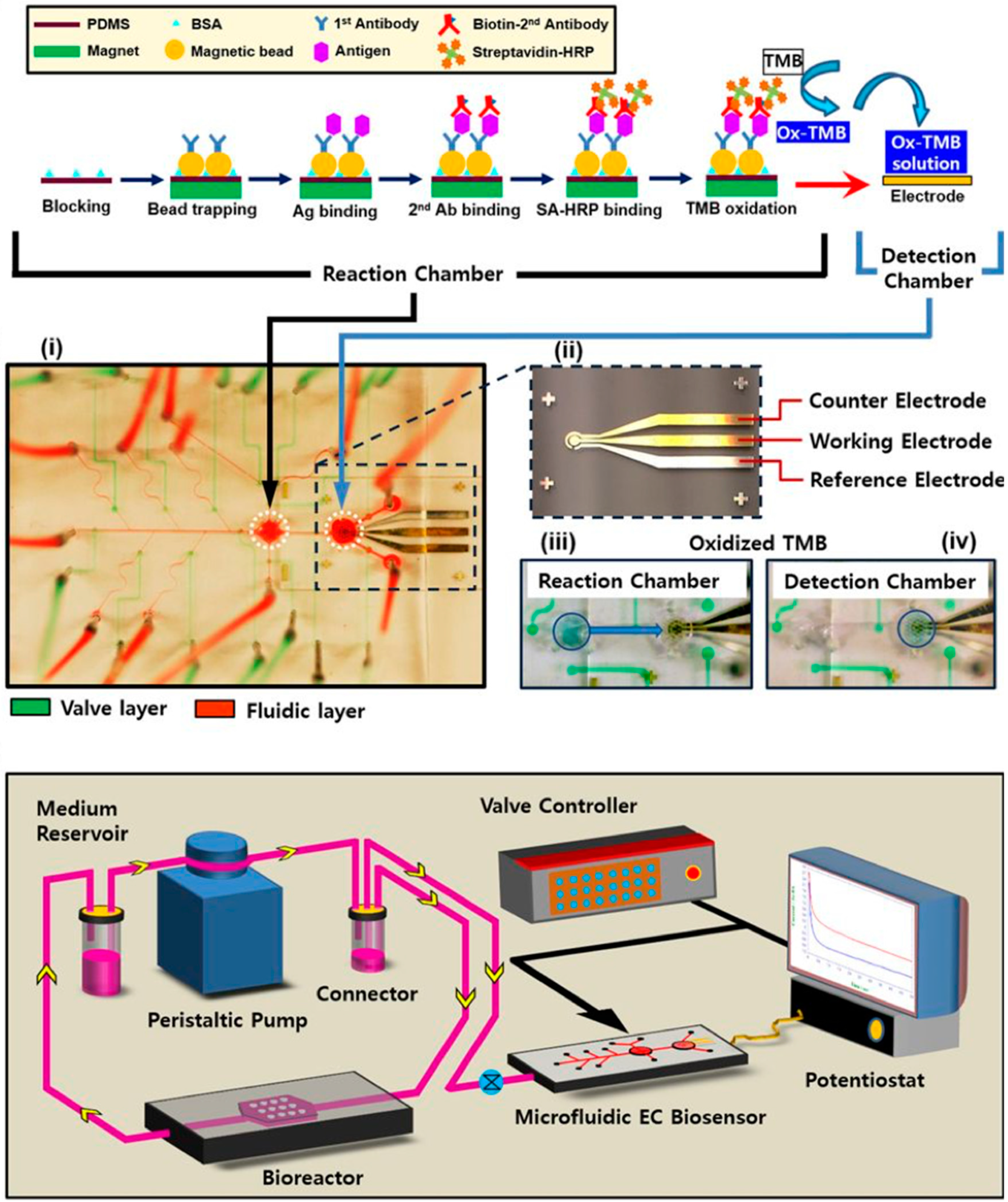 Biosensors 09 00110 g007