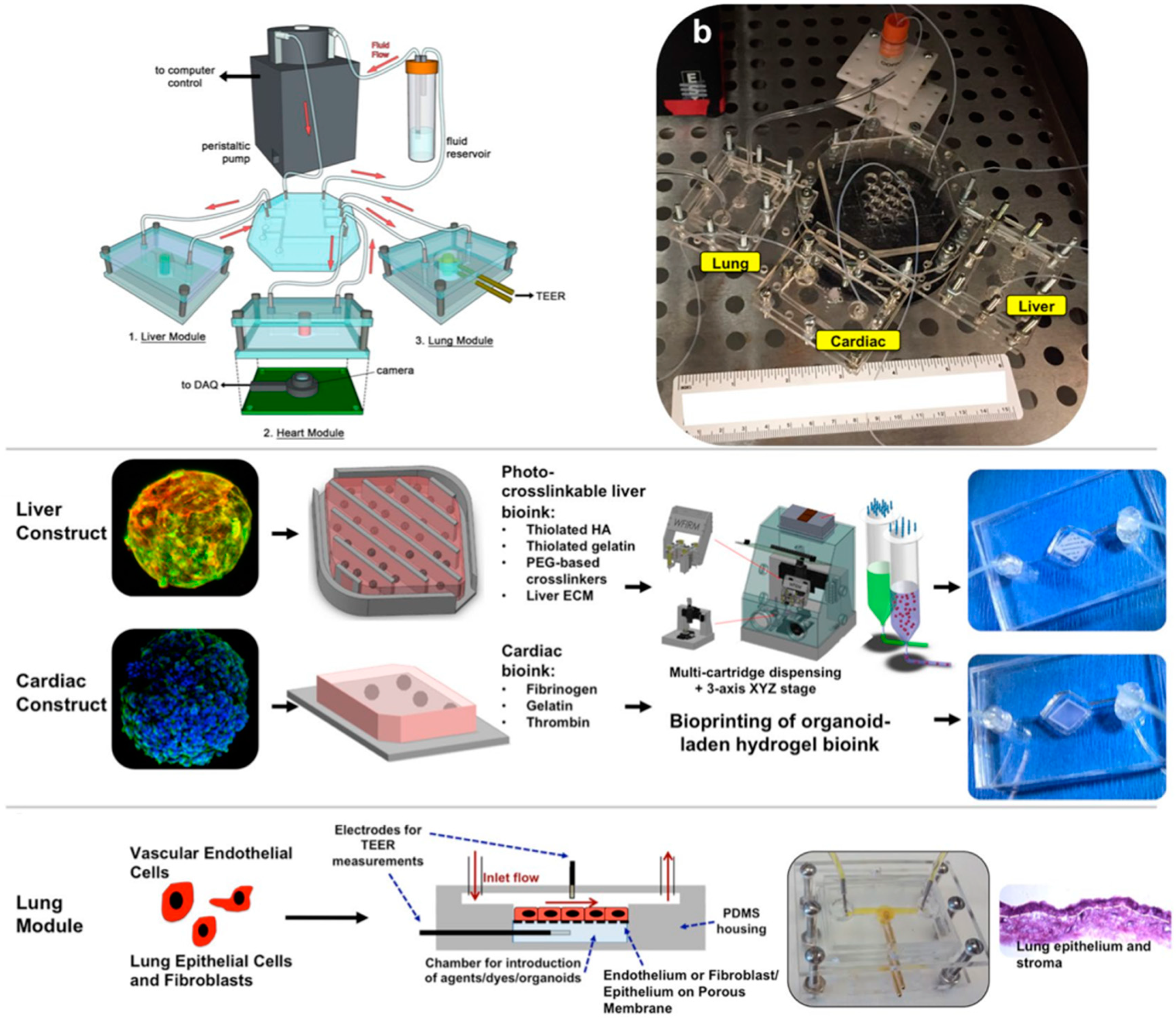 Biosensors 09 00110 g012