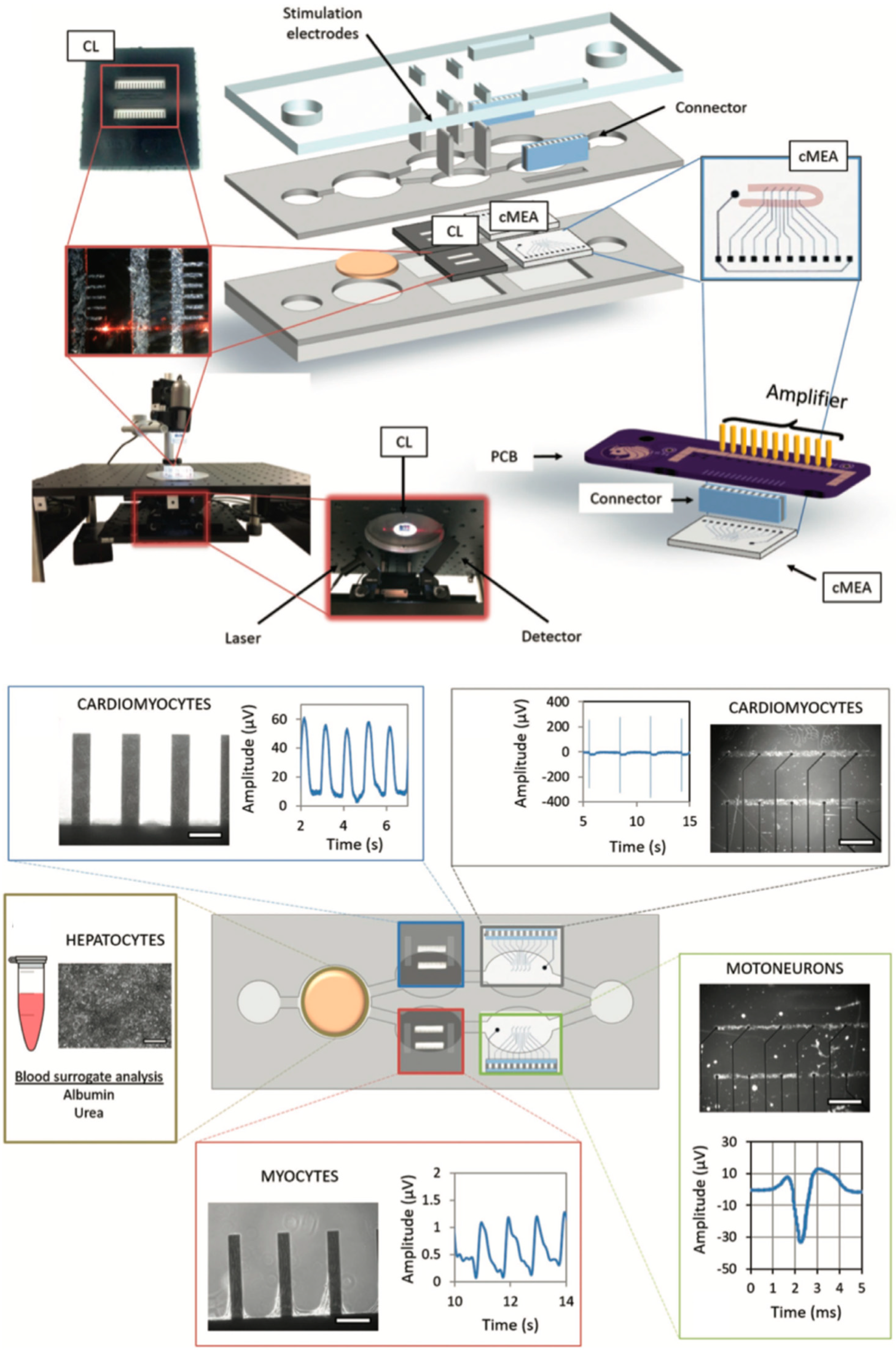 Biosensors 09 00110 g013