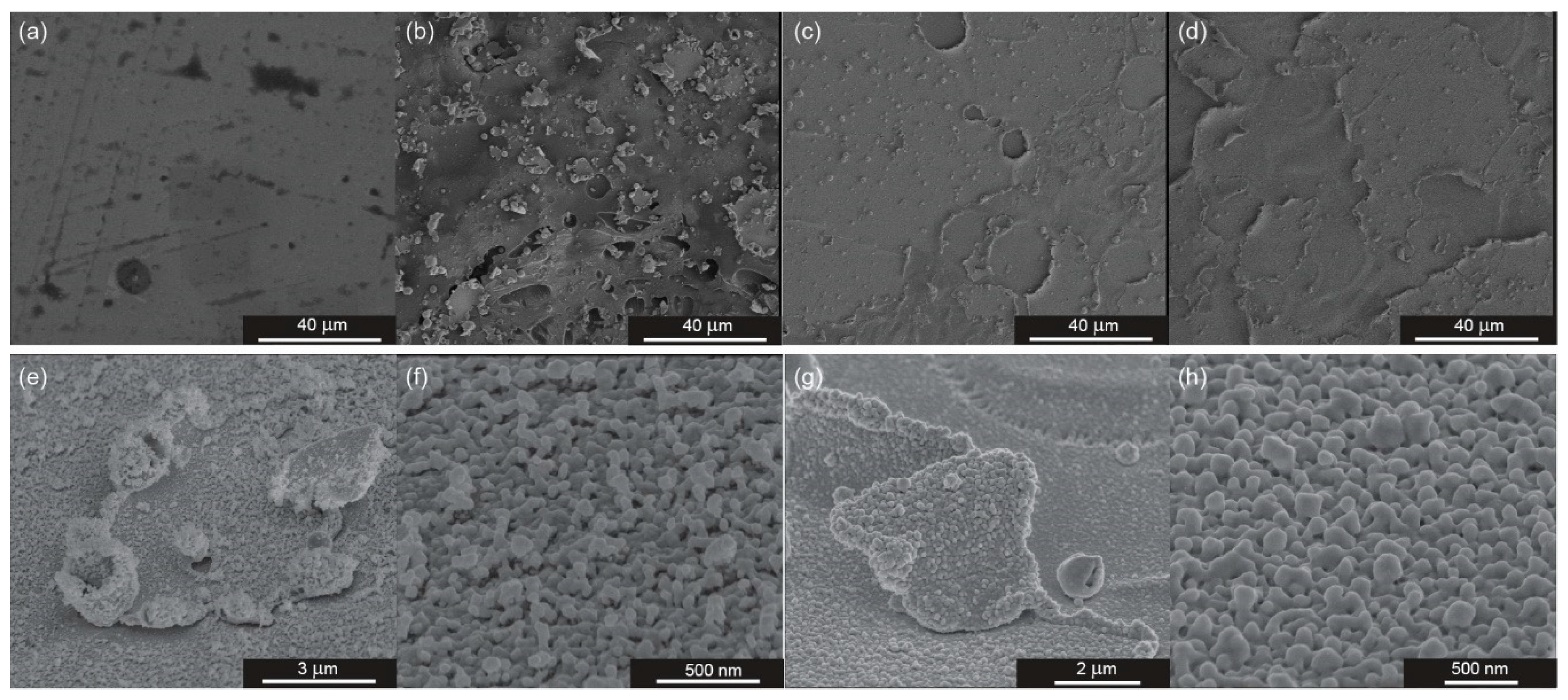 Biosensors 09 00111 g004 Biosensors 09 00111 g004