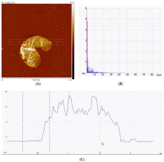 Raman spectra plot of both ball milling and blundered graphene under