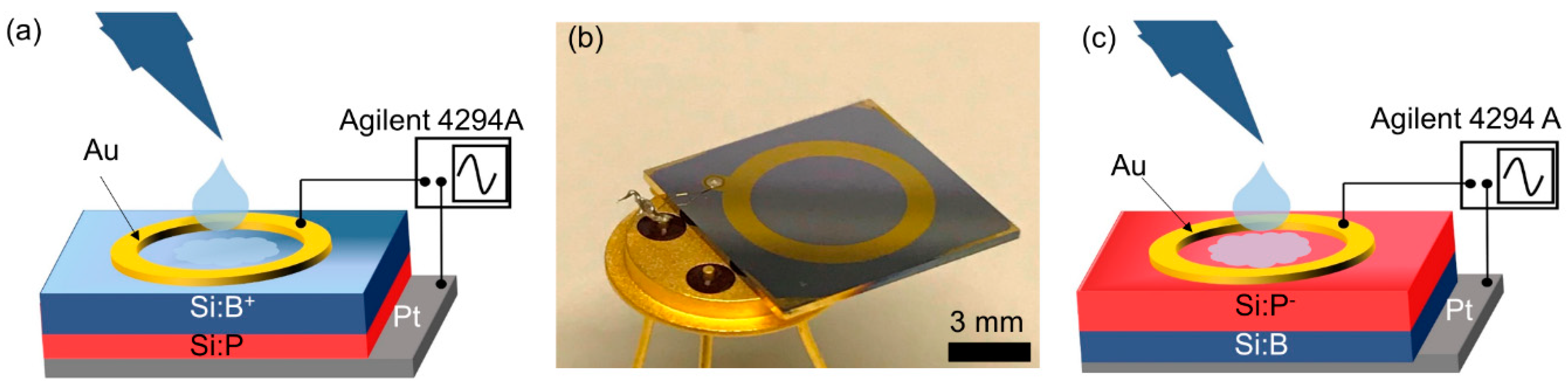 Biosensors 09 00120 g001 550