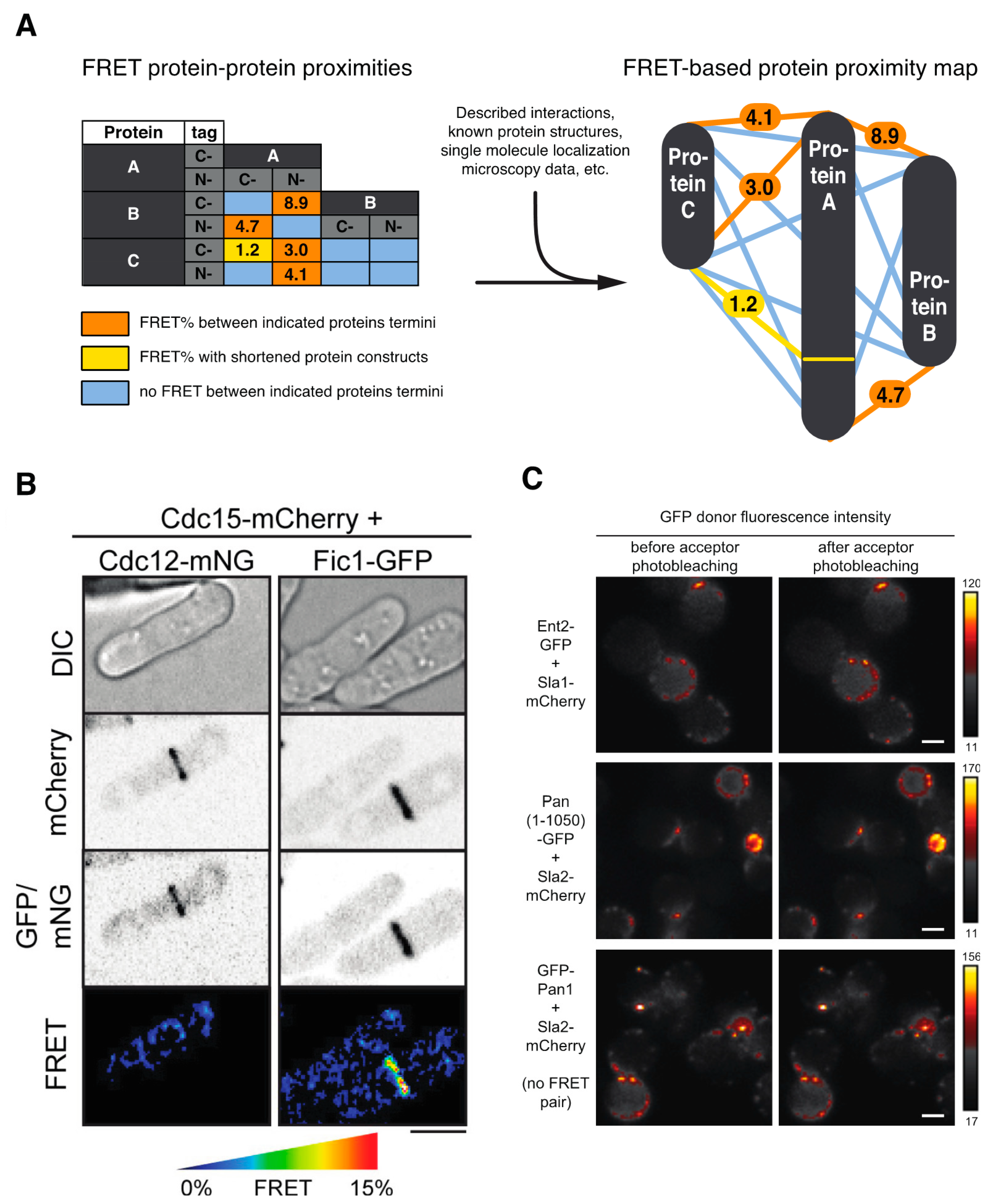 Biosensors 09 00122 g002 Biosensors 09 00122 g002