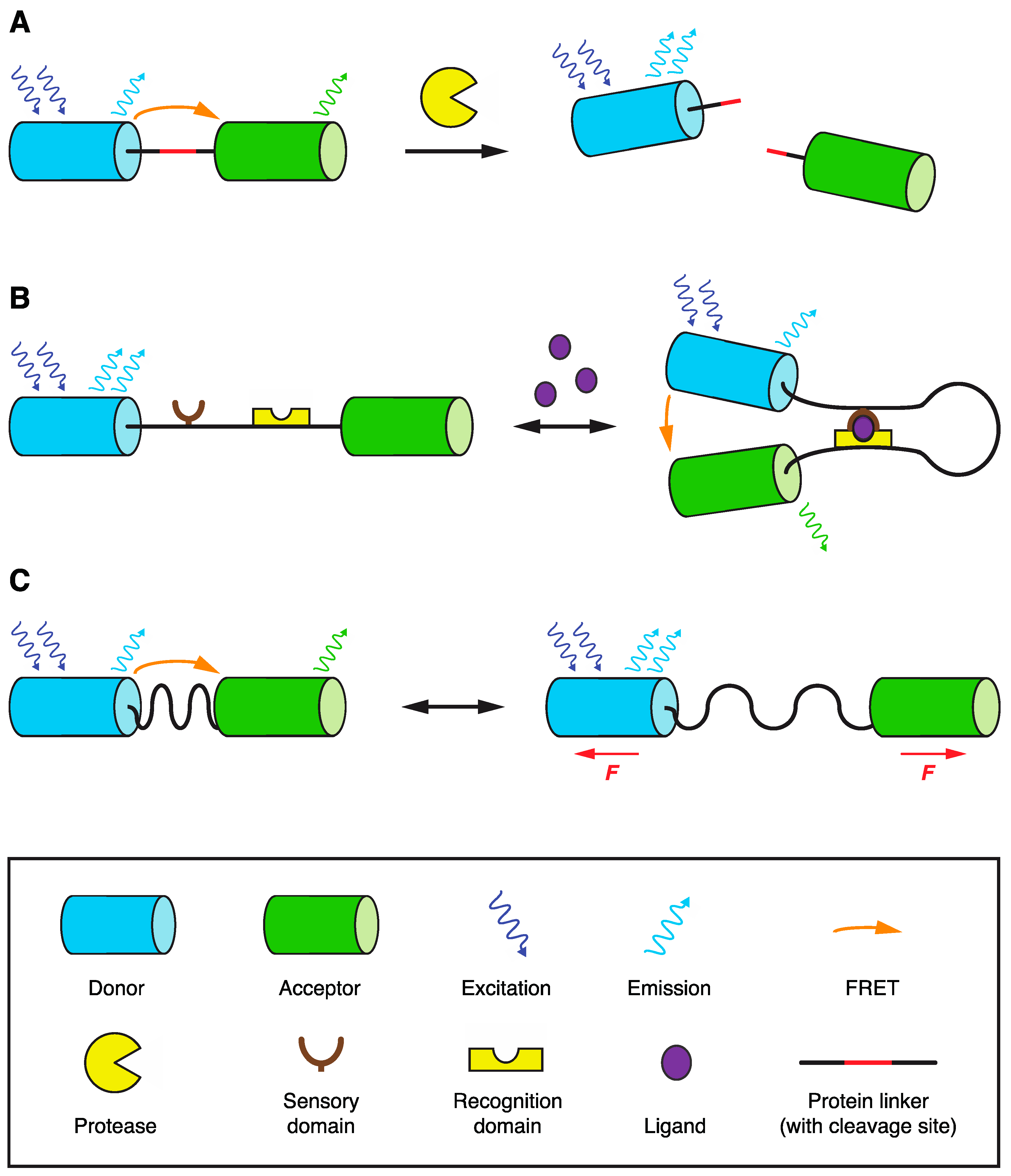 Biosensors 09 00122 g003 Biosensors 09 00122 g003