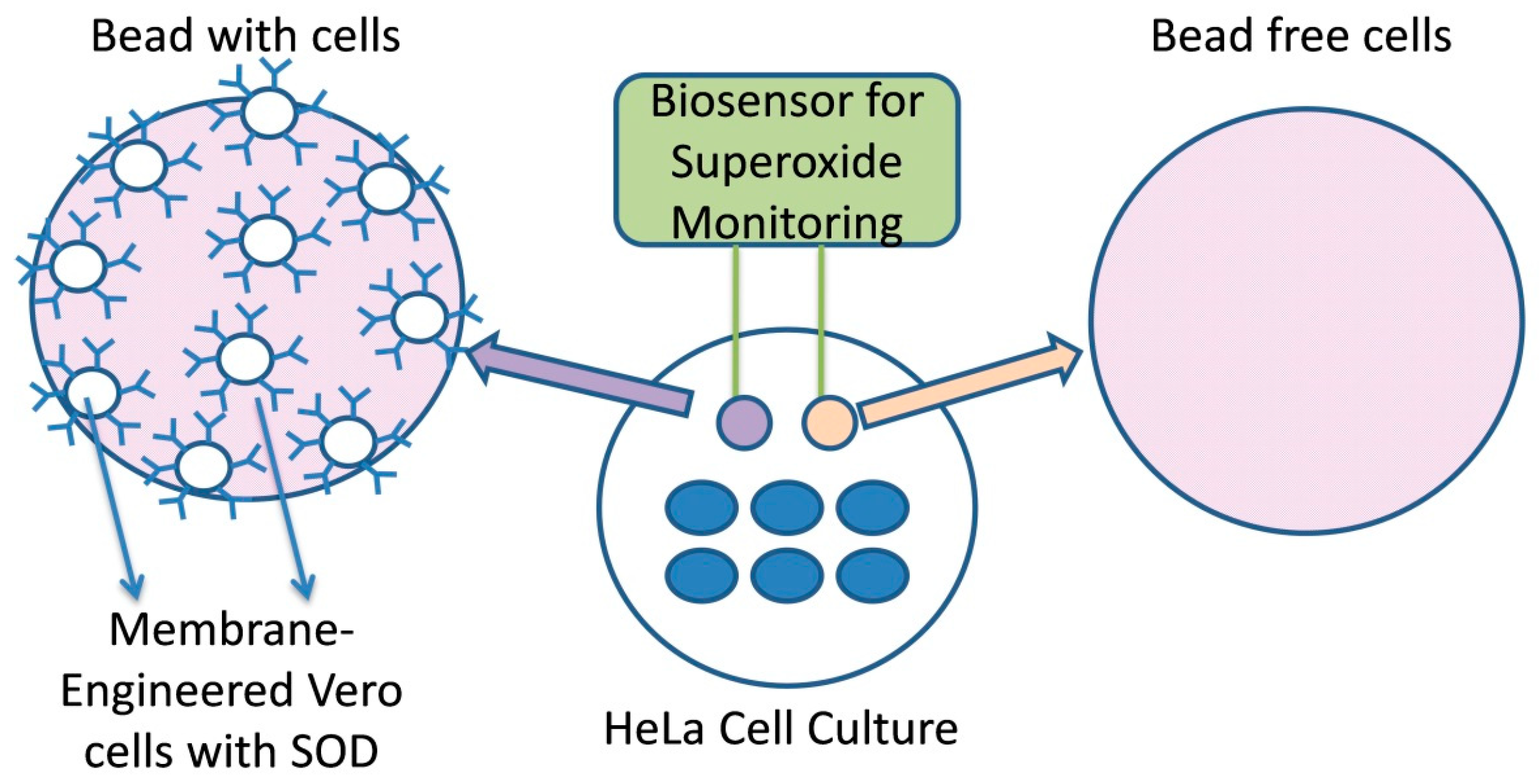 Biosensors 09 00126 g001