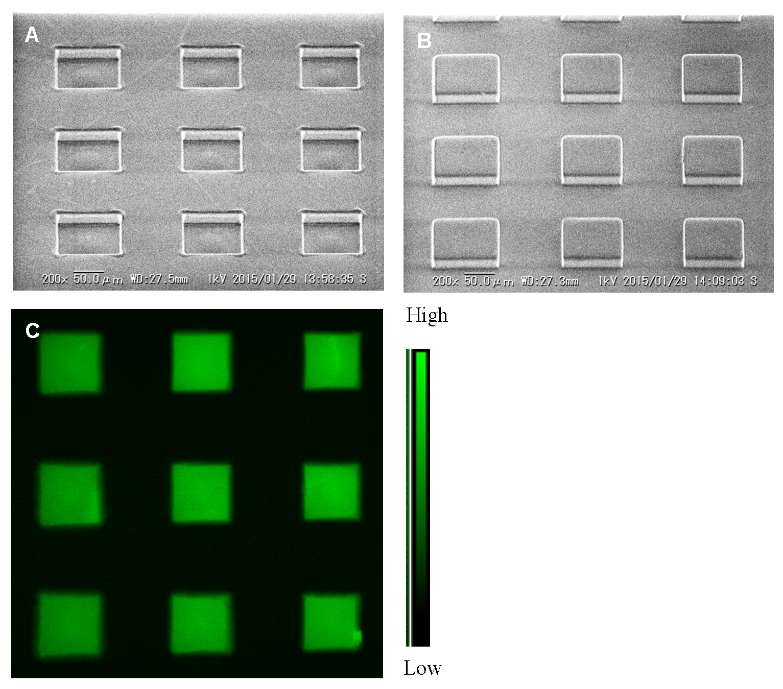 Biosensors 09 00133 g001