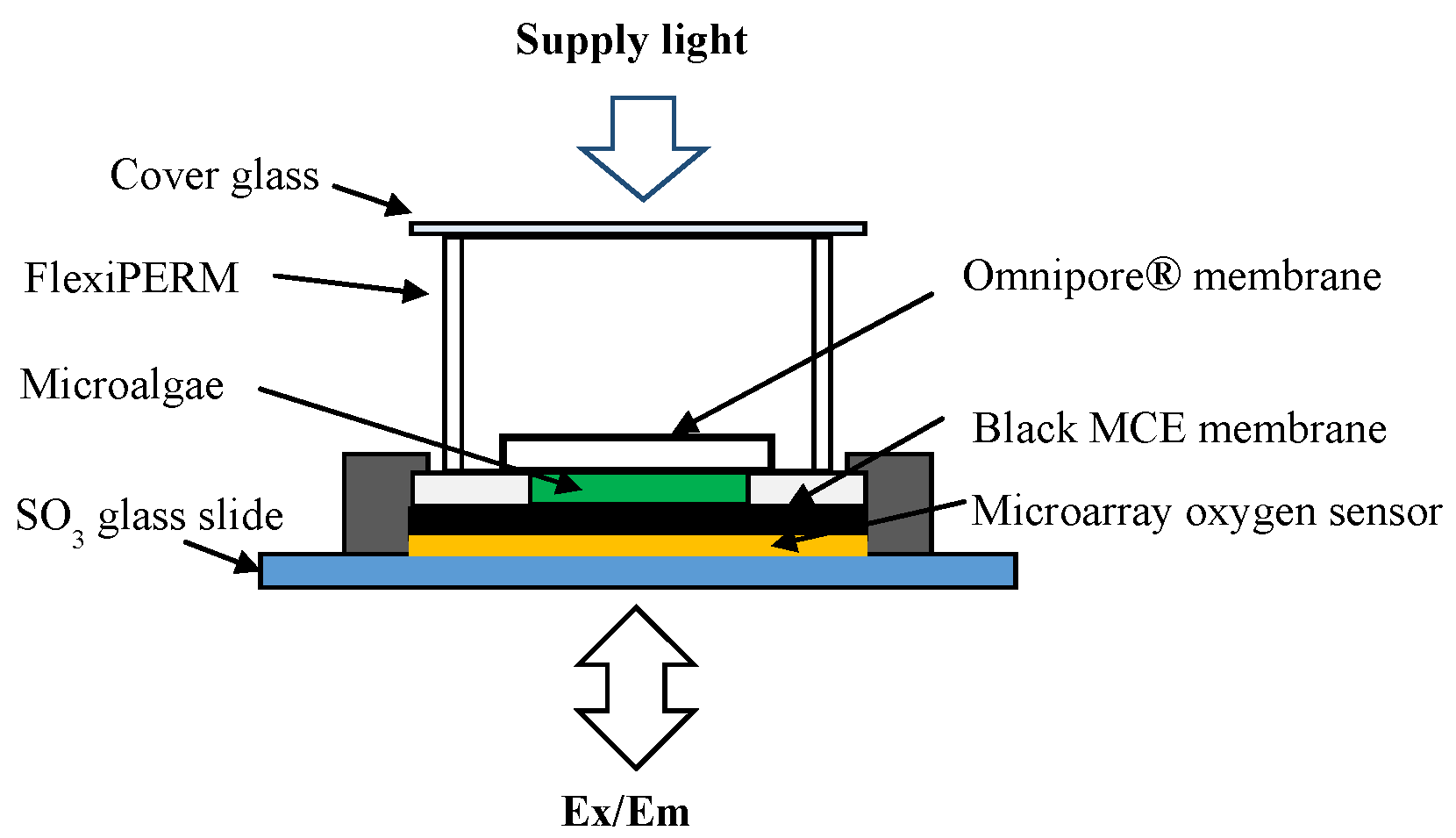 Biosensors 09 00133 g003
