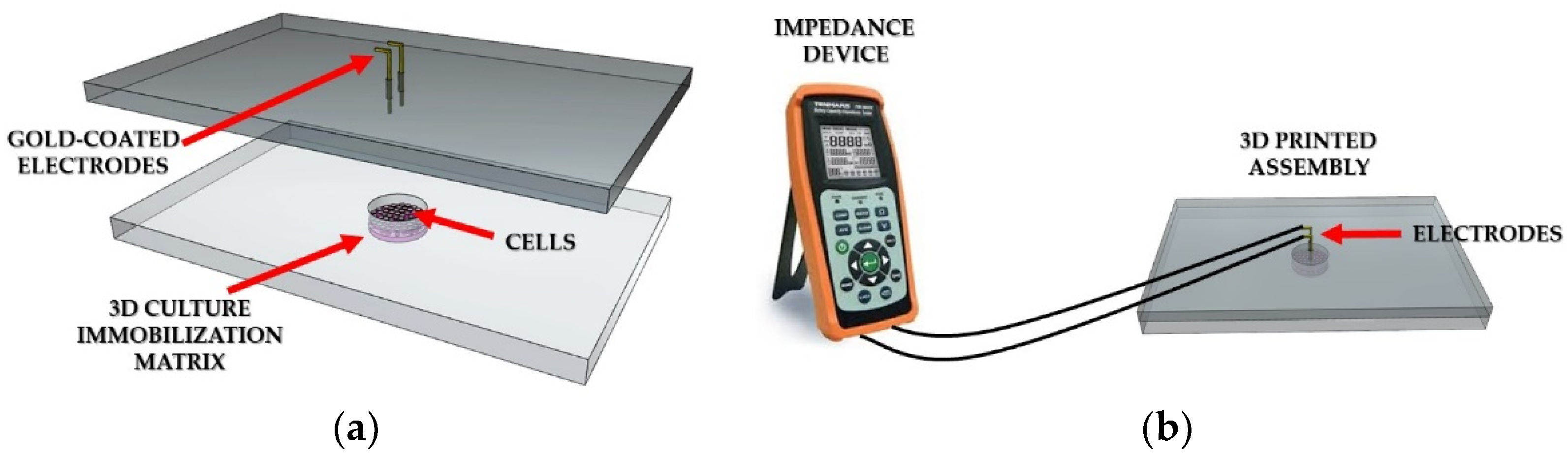 Biosensors 09 00136 g001