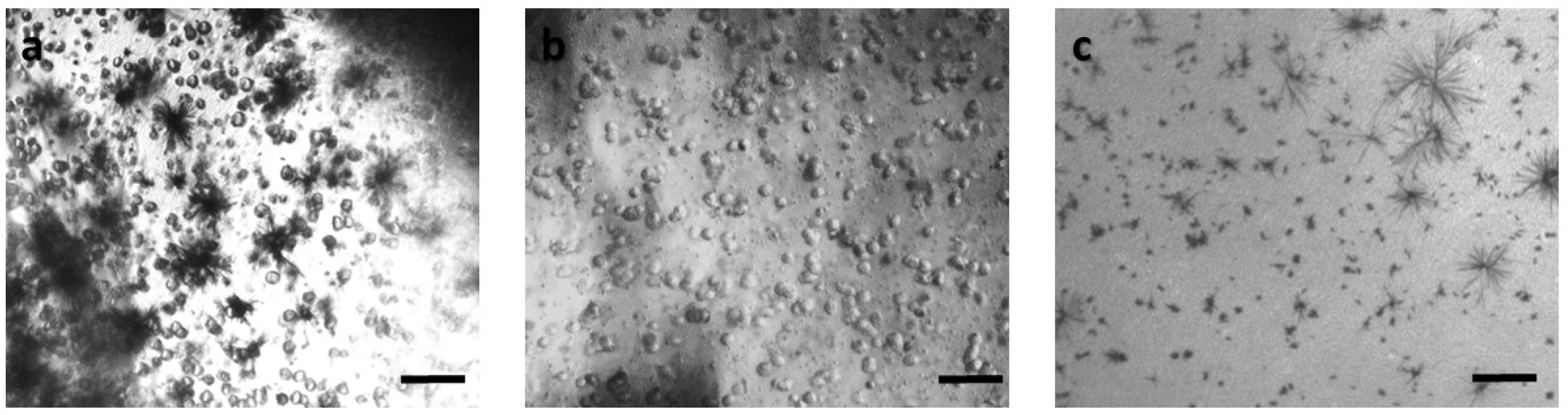 Biosensors 09 00136 g003