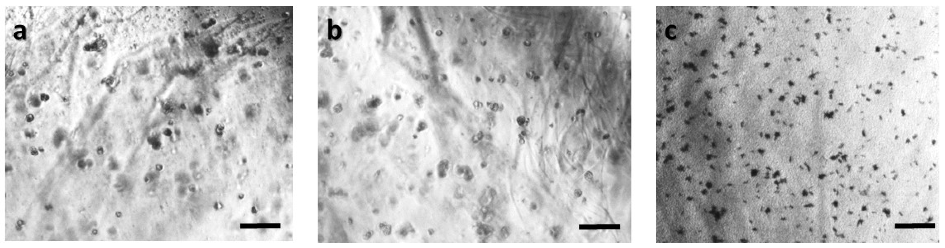 Biosensors 09 00136 g005