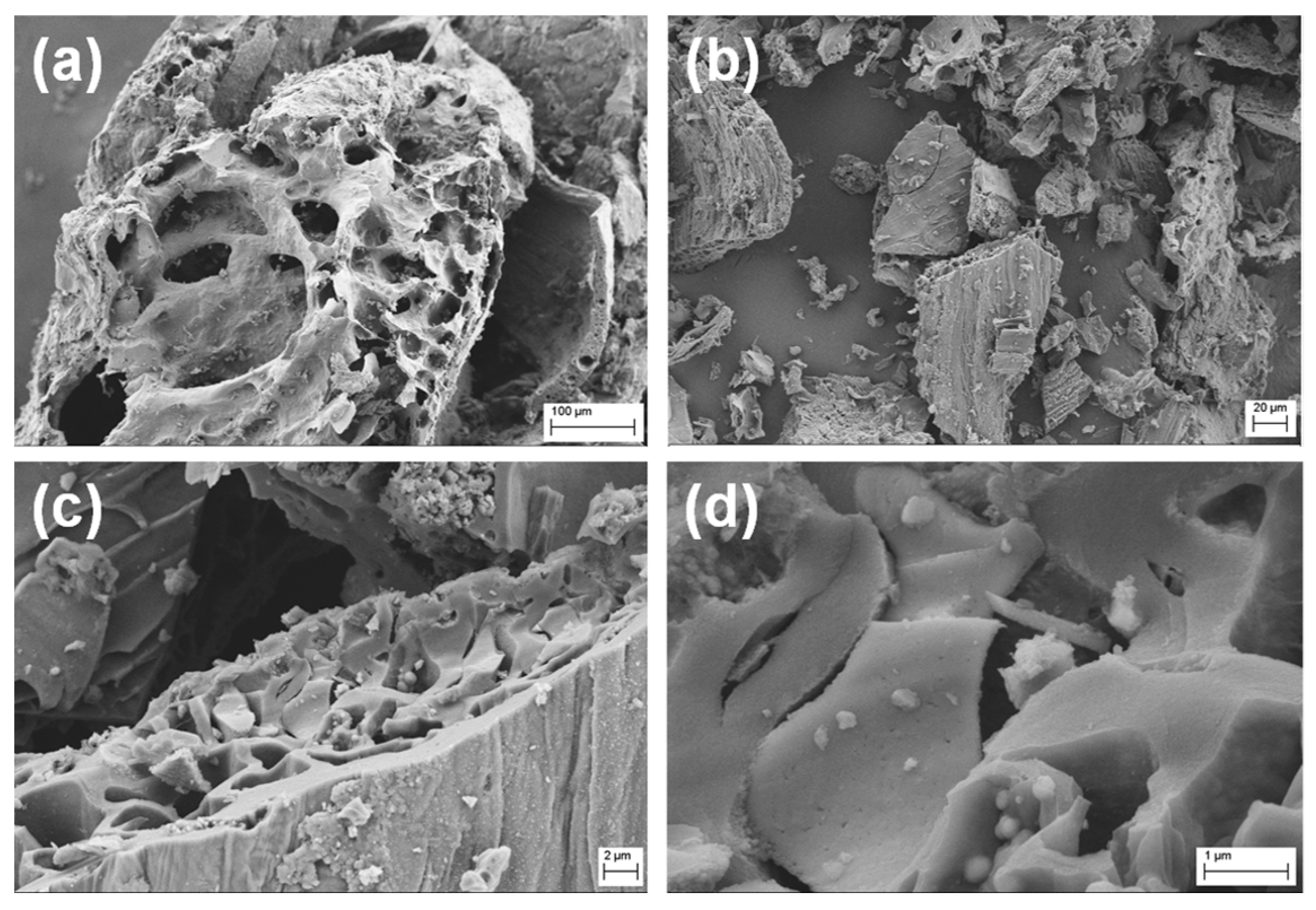 Biosensors 09 00139 g002