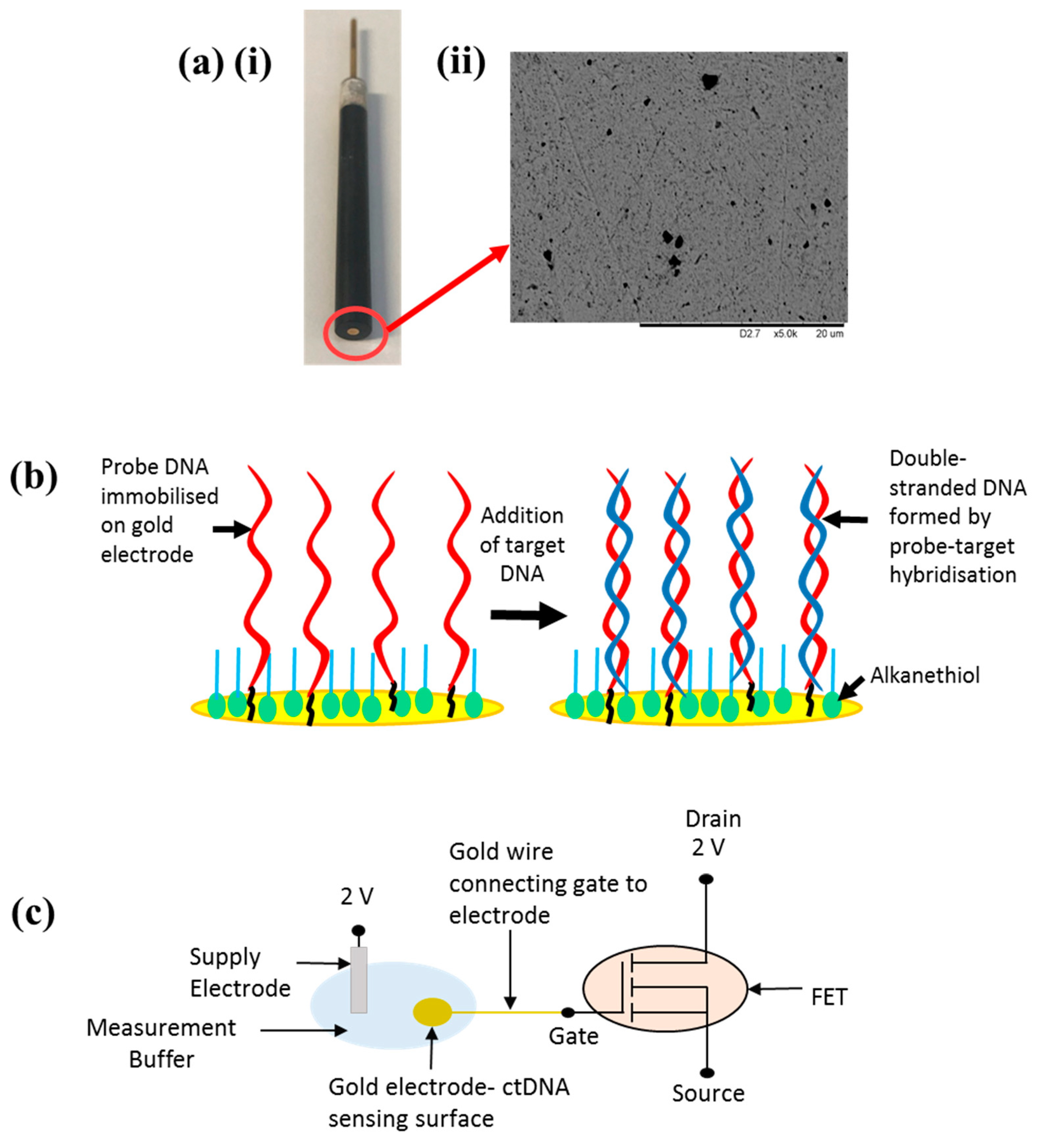 Biosensors 09 00141 g001