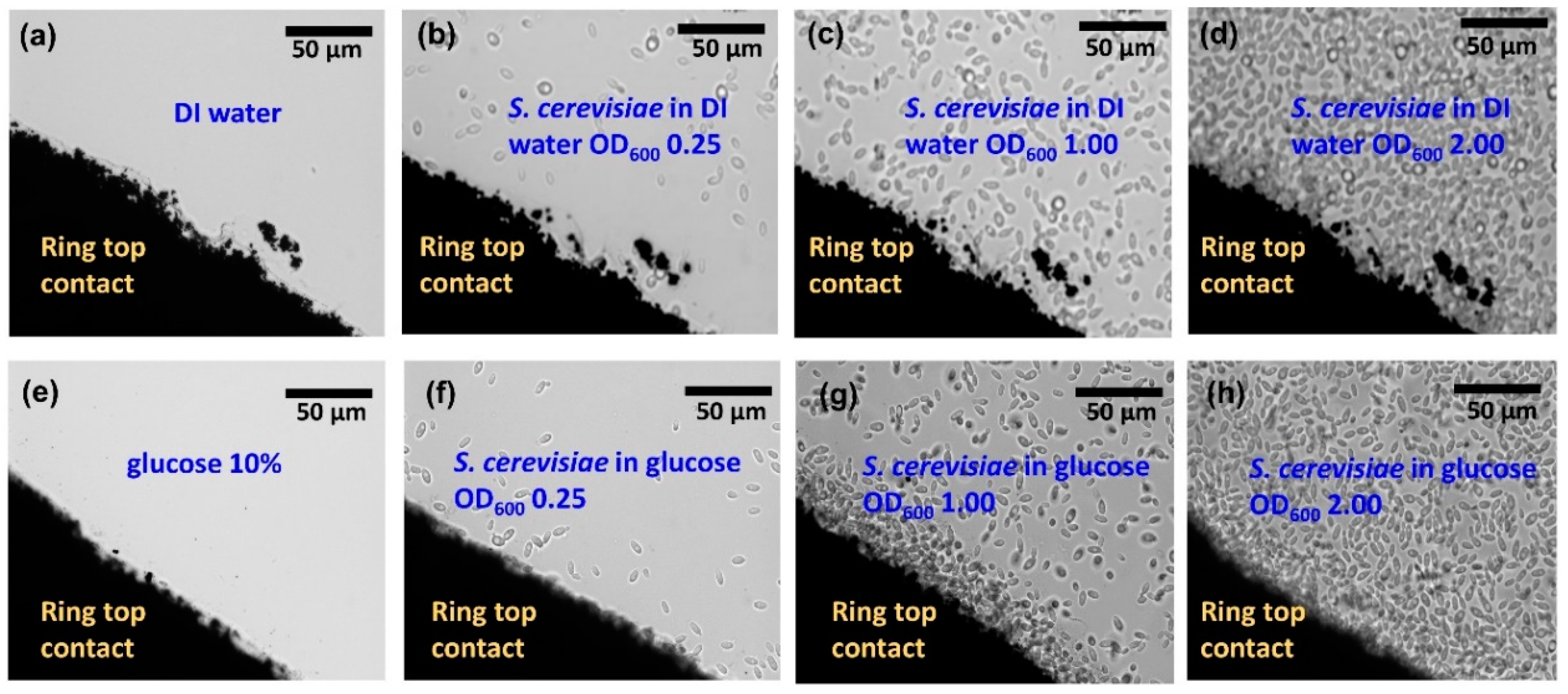 Biosensors 10 00007 g002