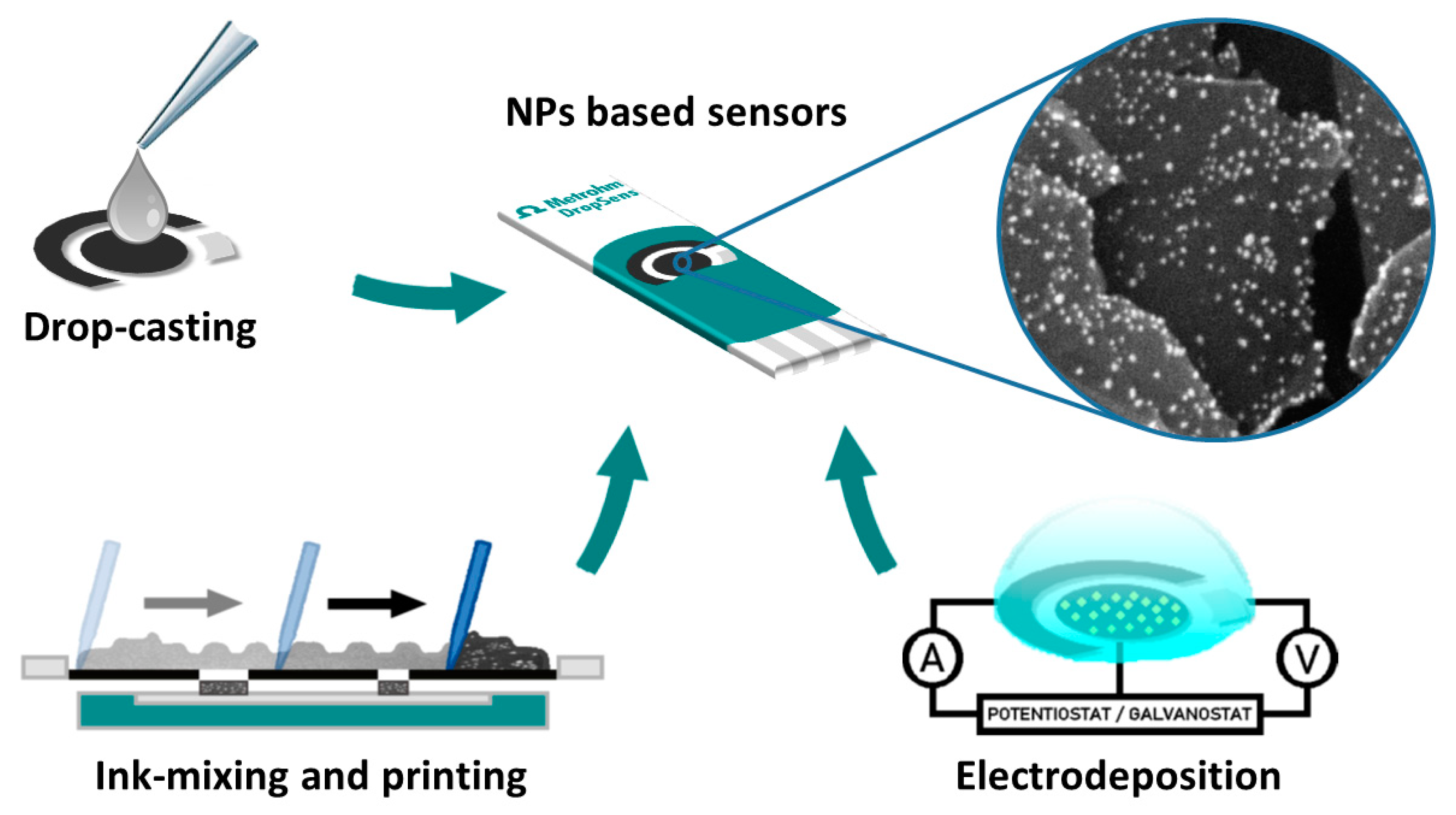 Biosensors | Free Full-Text | Screen-Printed Electrodes Modified with Metal for Small Molecule Sensing
