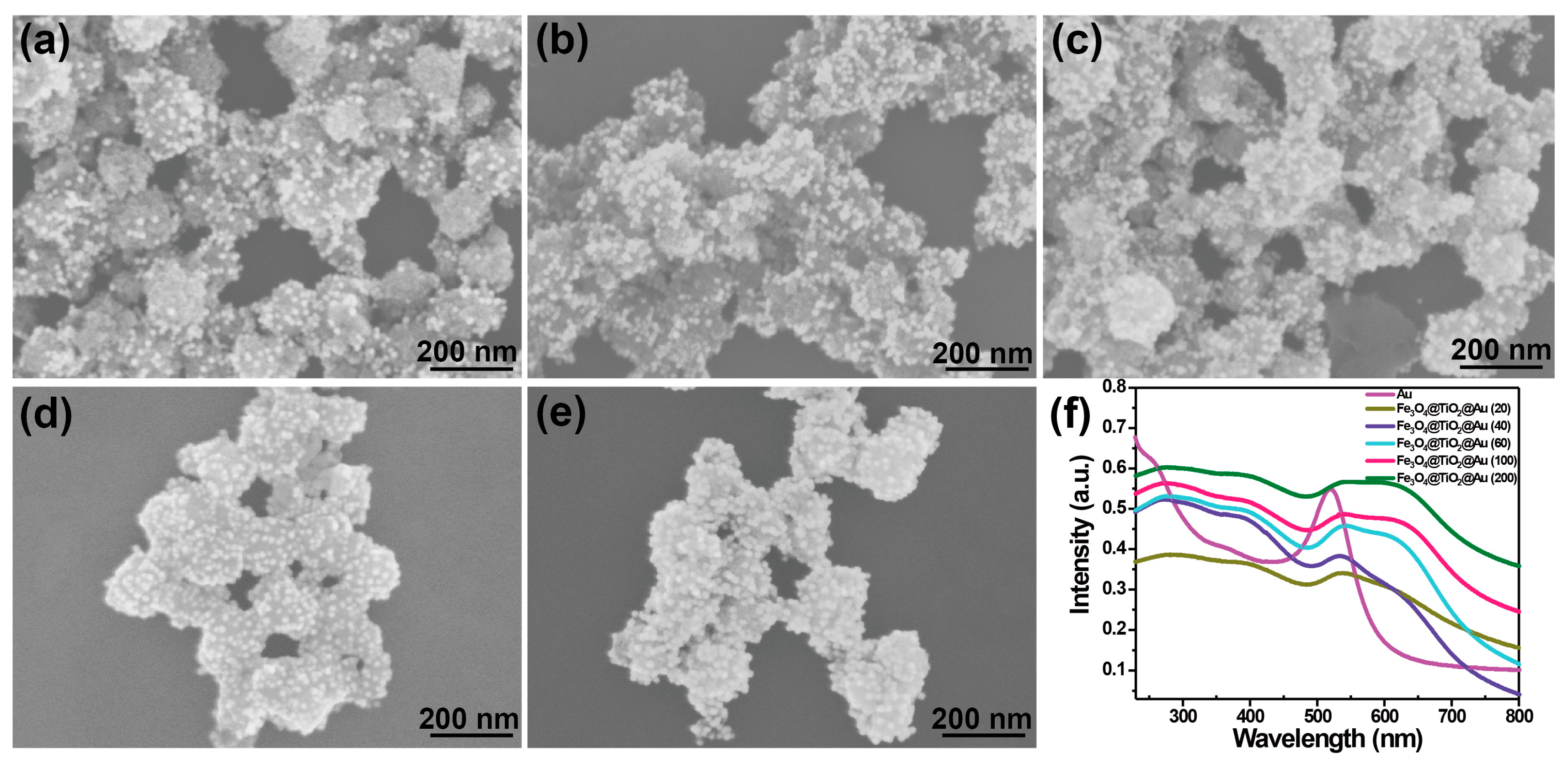 Biosensors Free Full Text Recyclable Sers Based Immunoassay Guided By Photocatalytic Performance Of Fe3o4 Tio2 Au Nanocomposites