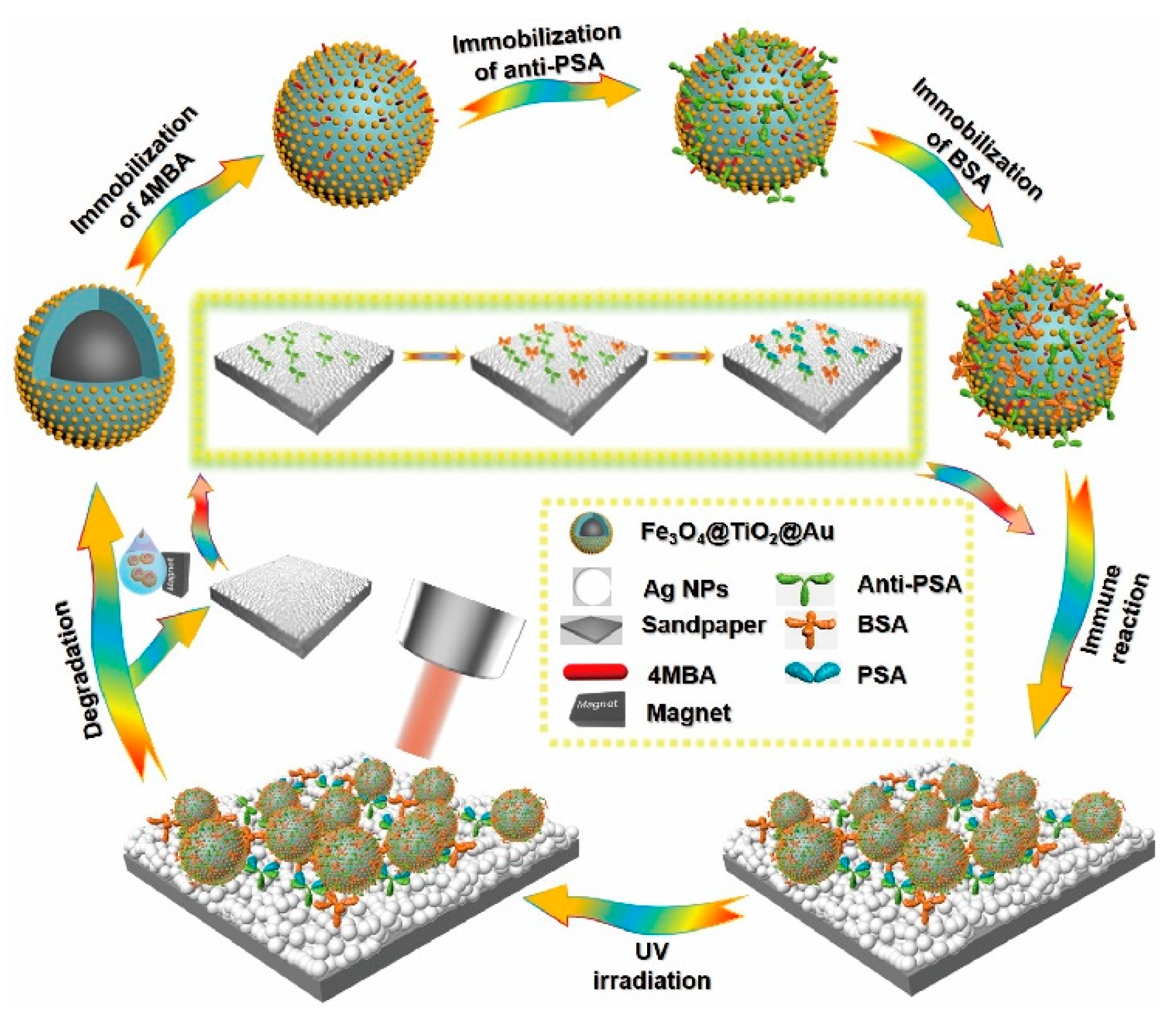 Biosensors 10 00025 sch001 Biosensors 10 00025 sch001