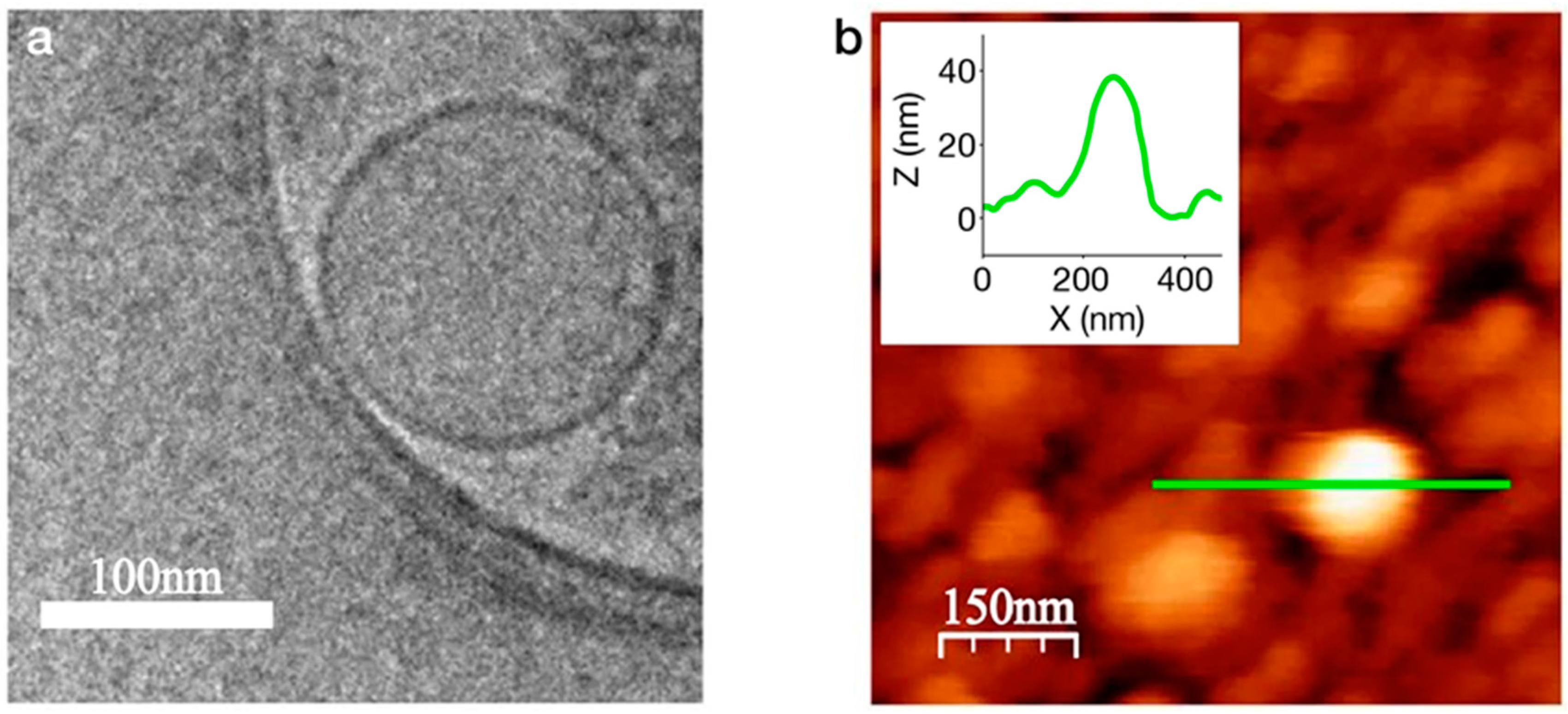 Biosensors 10 00026 g004