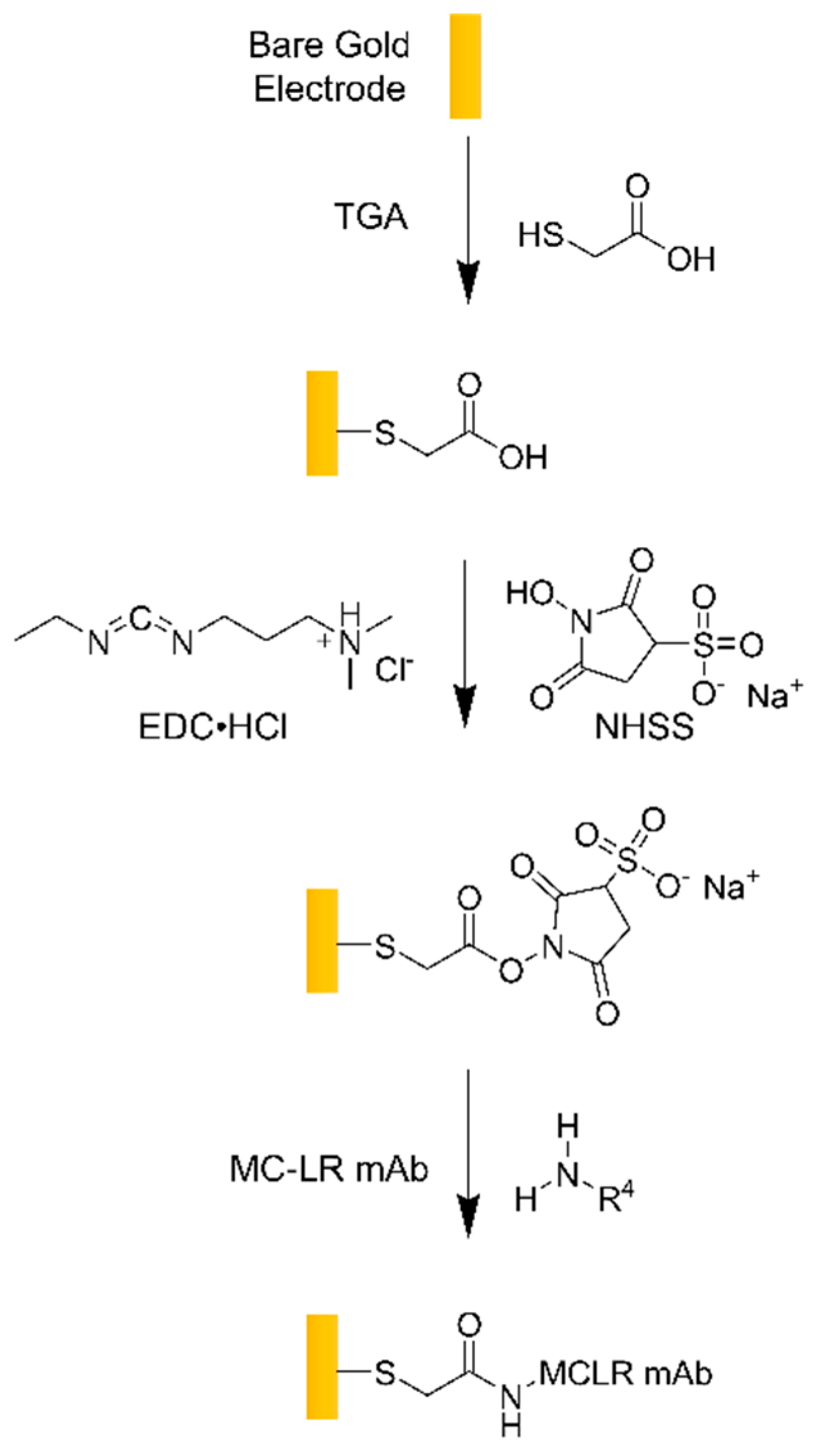 Biosensors 10 00028 g007 Biosensors 10 00028 g007