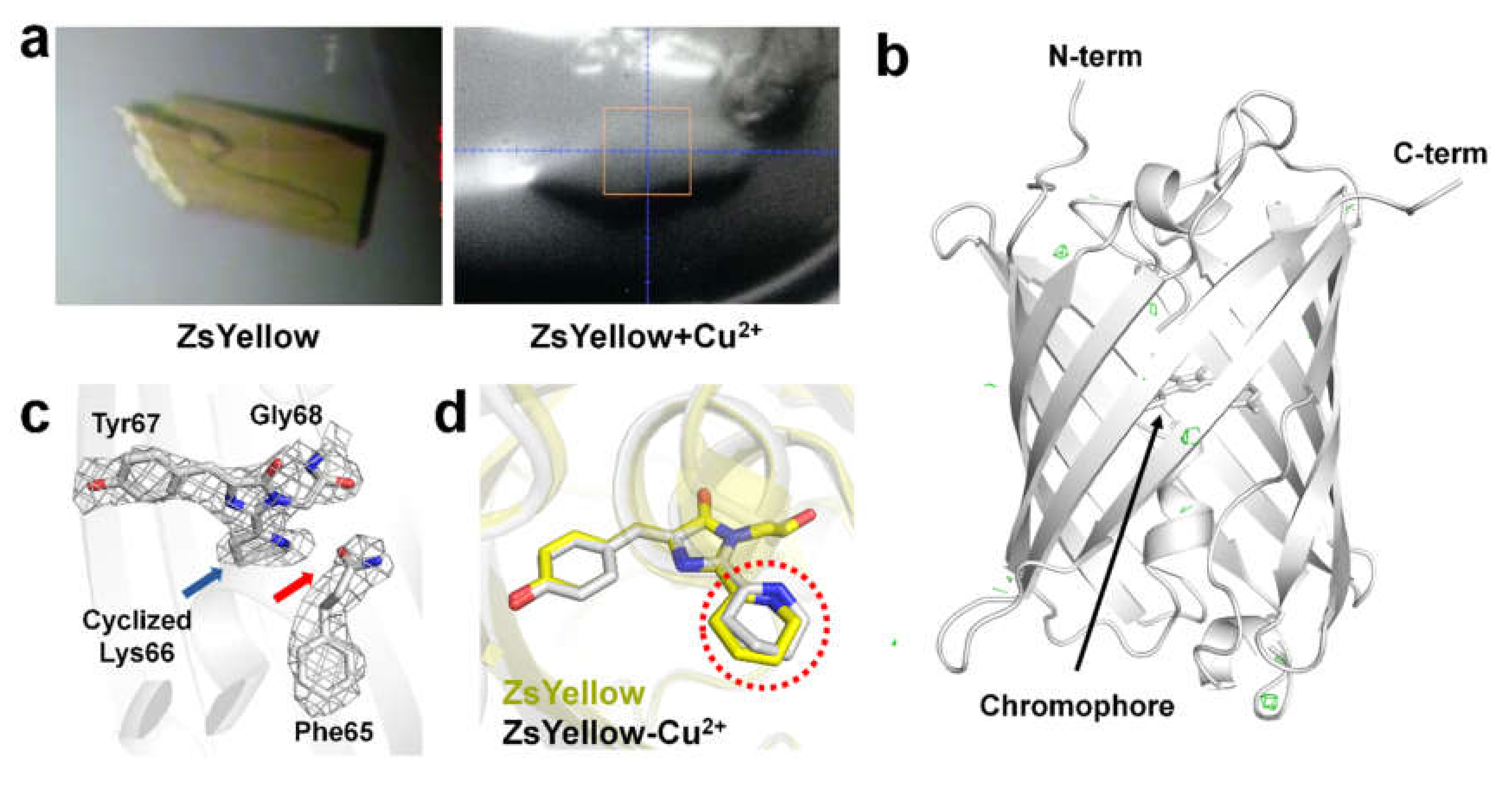 Biosensors 10 00029 g003 Biosensors 10 00029 g003