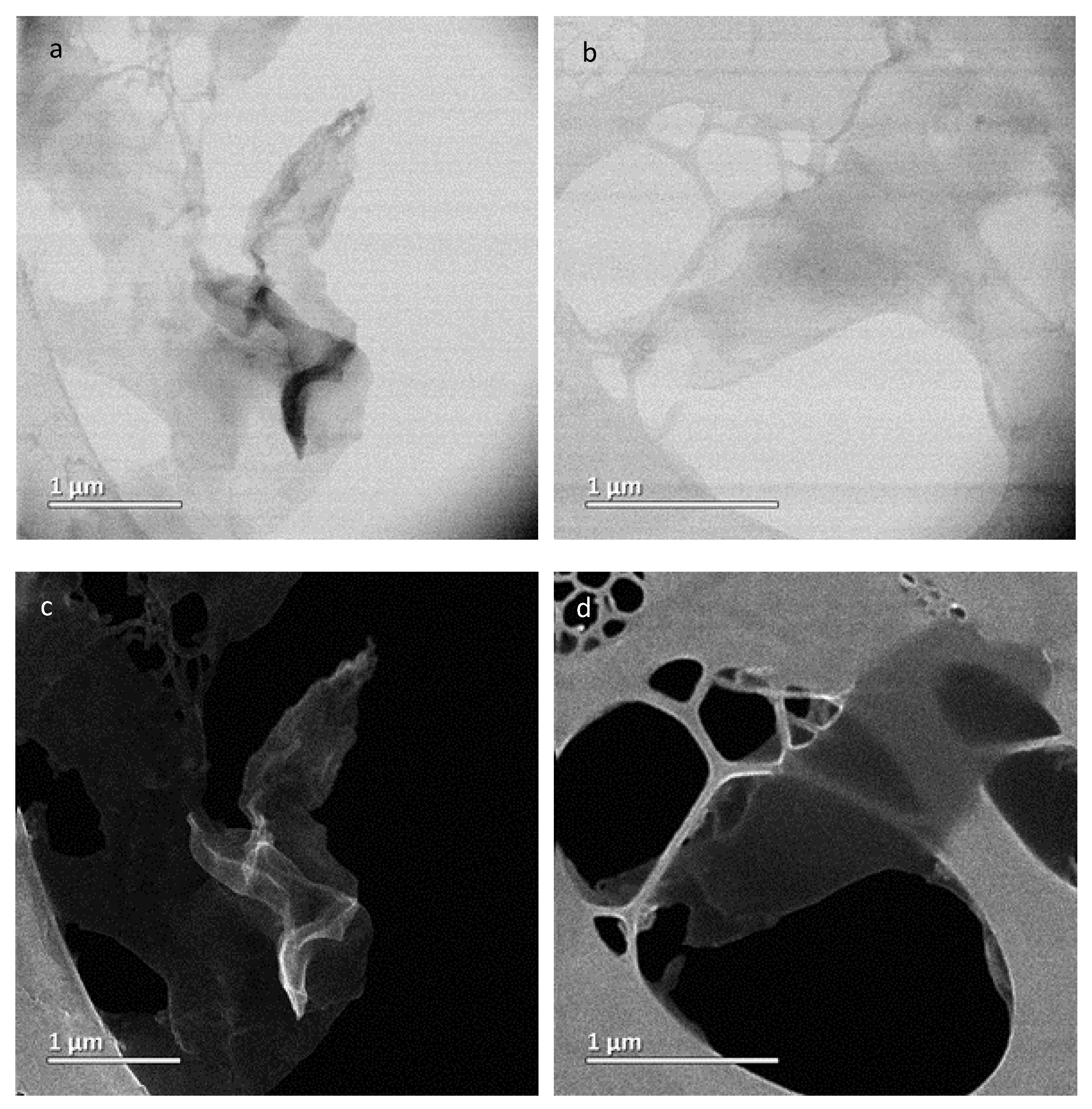Biosensors 10 00030 g001