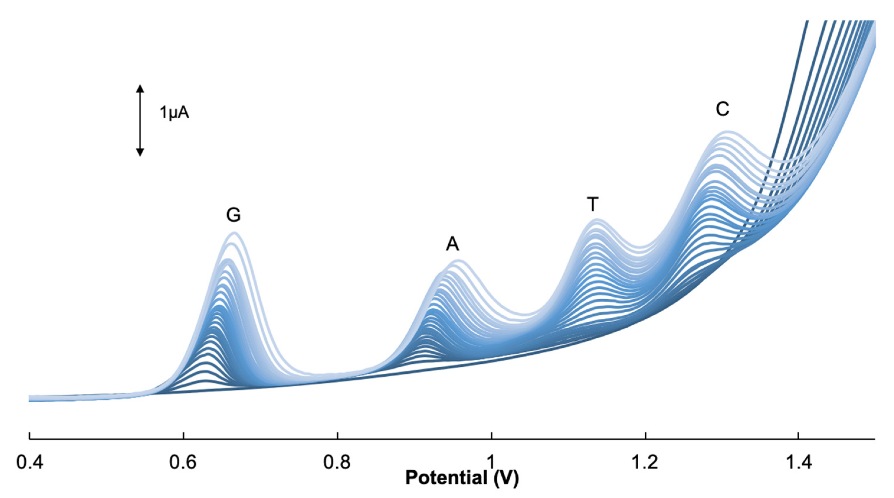 Biosensors 10 00030 g006