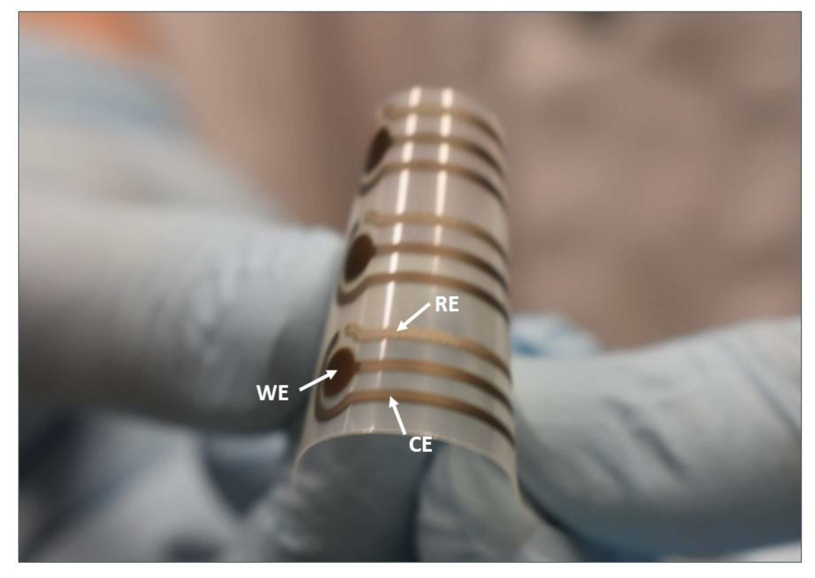 Biosensors 10 00035 g001