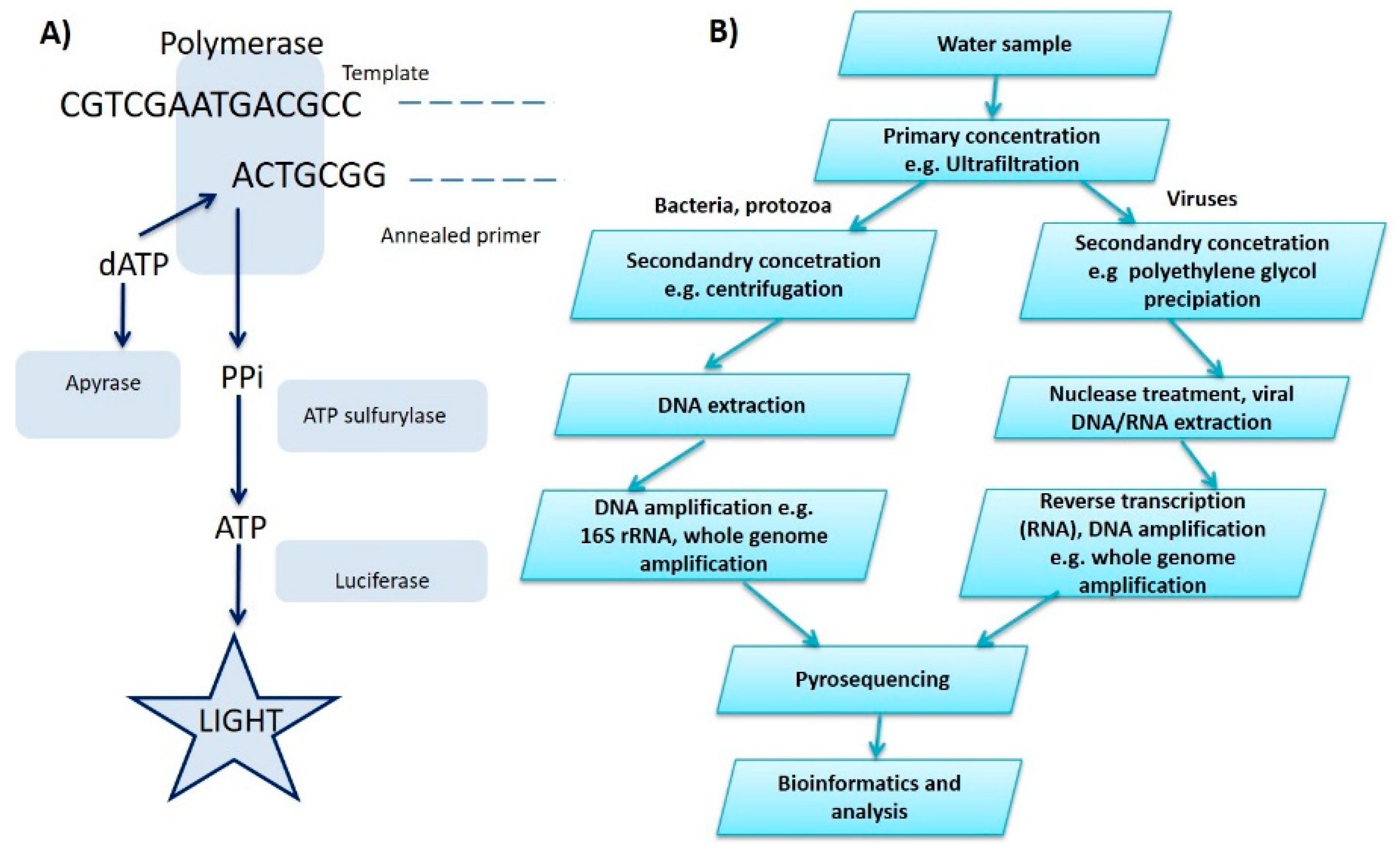 Biosensors 10 00036 g002 Biosensors 10 00036 g002
