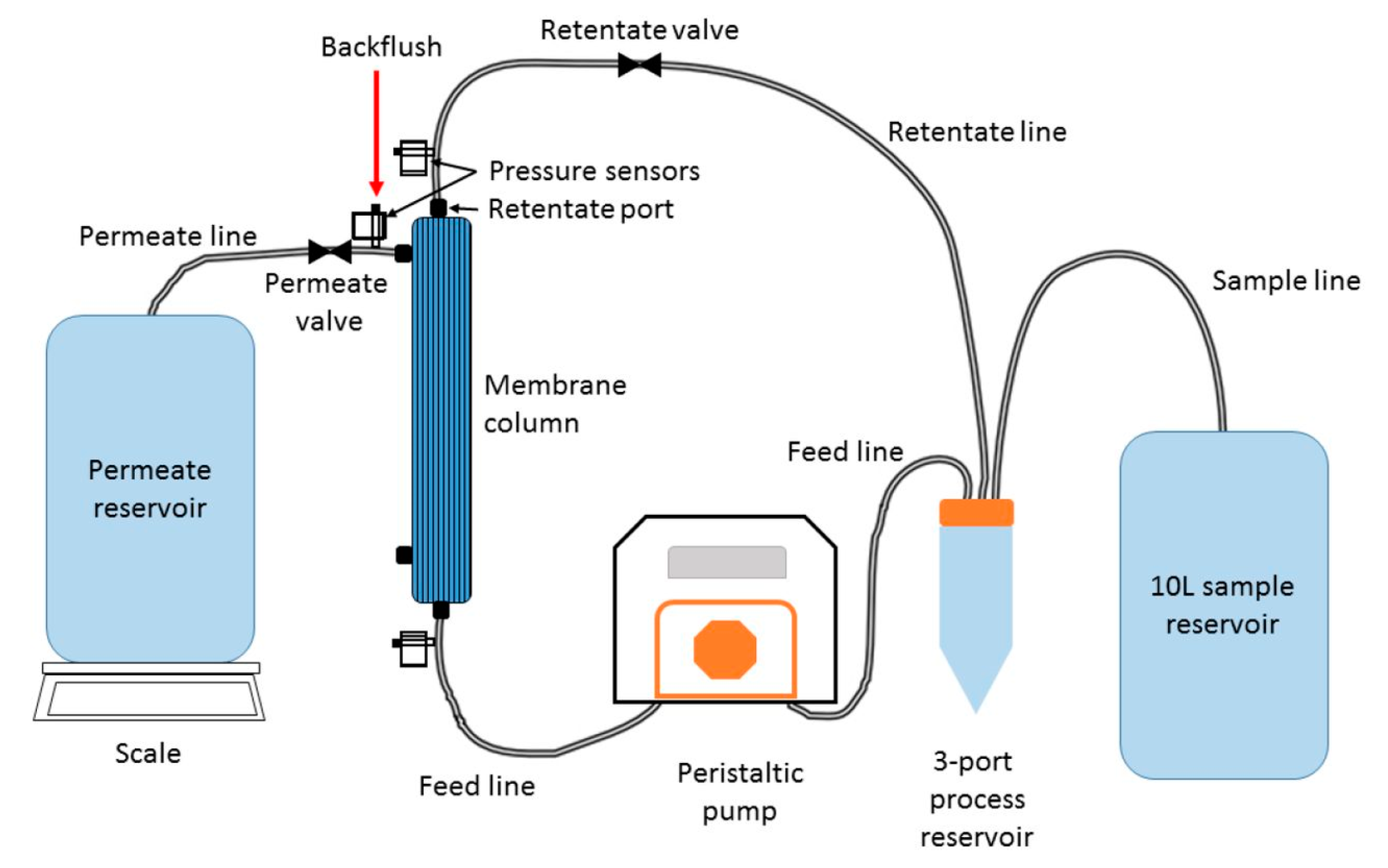 Biosensors 10 00036 g004 Biosensors 10 00036 g004
