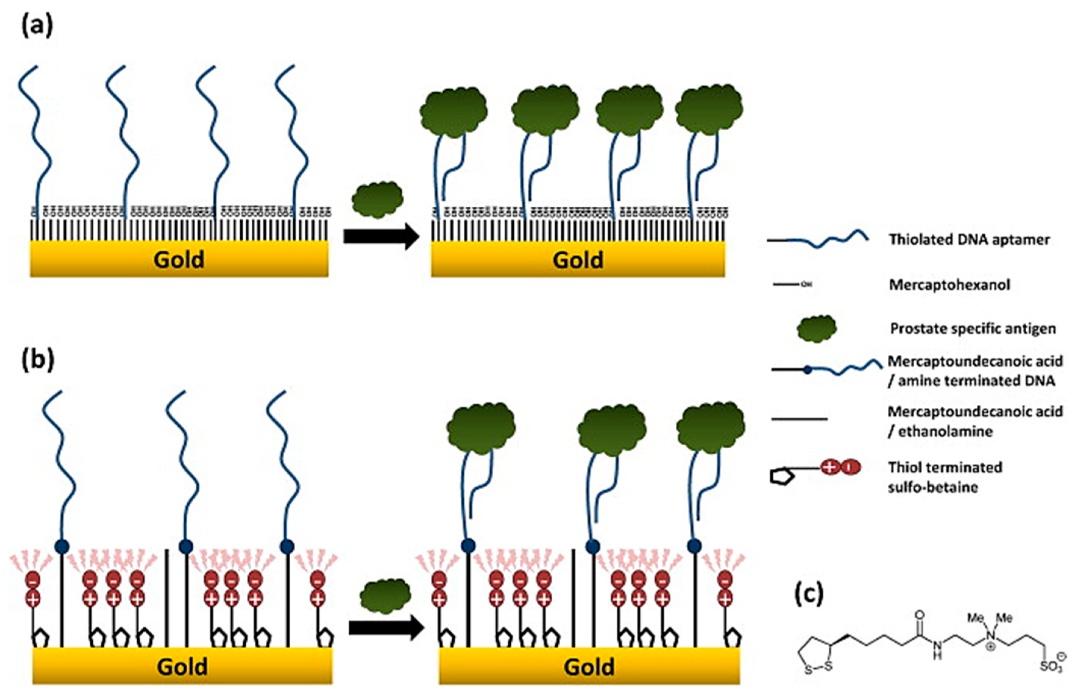 Biosensors 10 00036 g005 Biosensors 10 00036 g005
