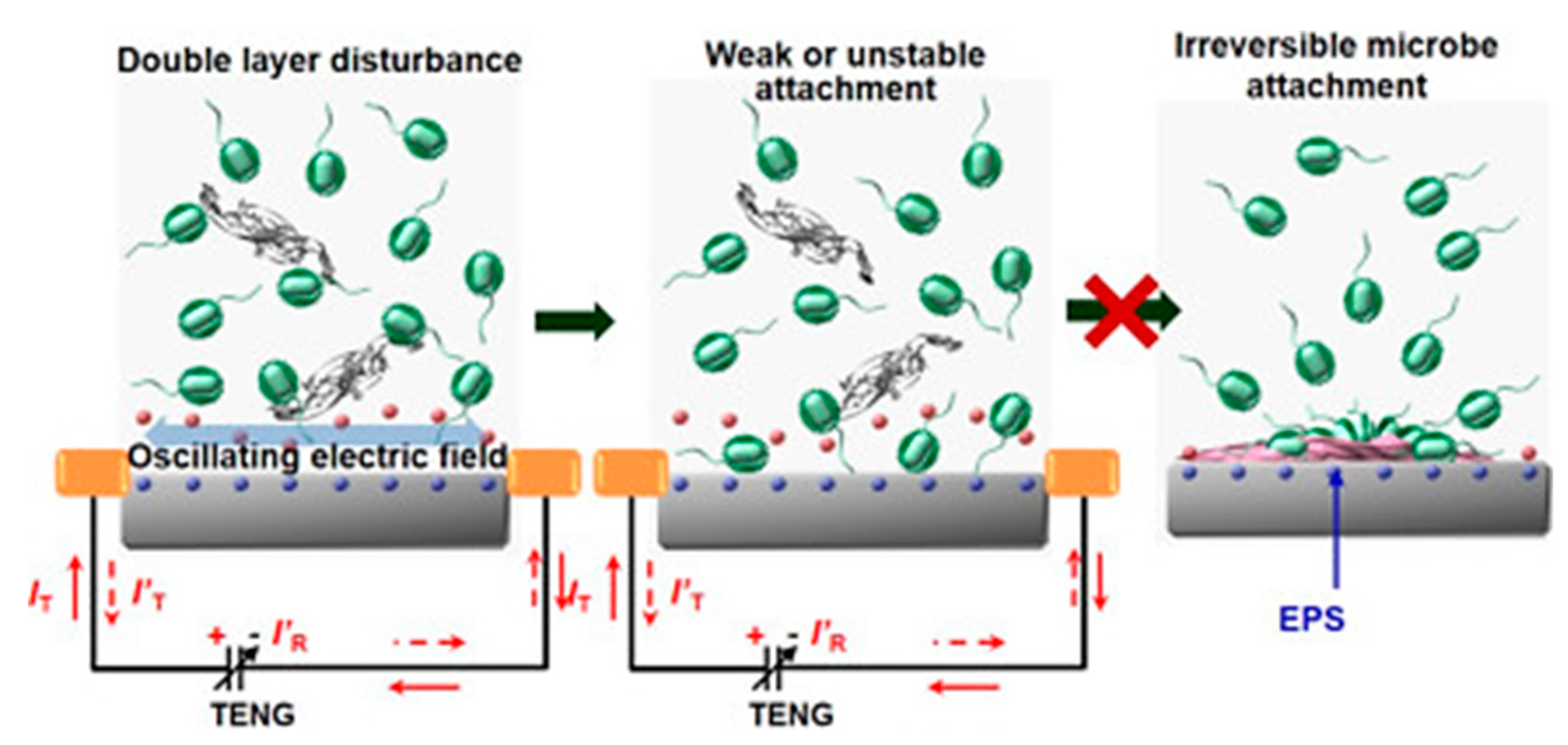 Biosensors 10 00036 g006 Biosensors 10 00036 g006