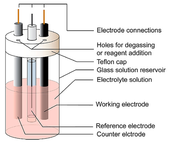 数量限定セール  Integrated Electrochemical Biosensors for Detection of その他
