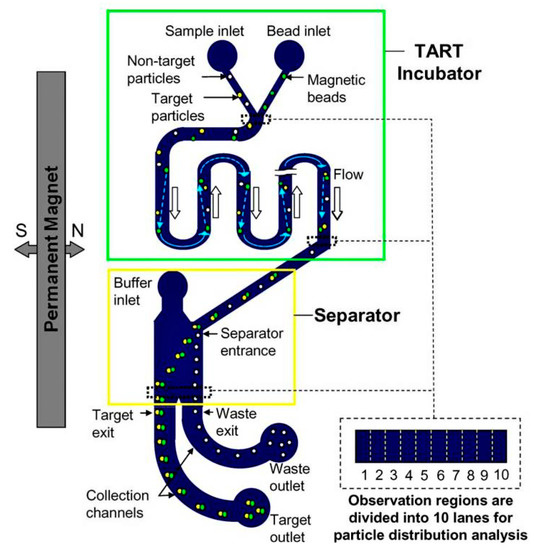Integrated Electrochemical Biosensors for Detection of