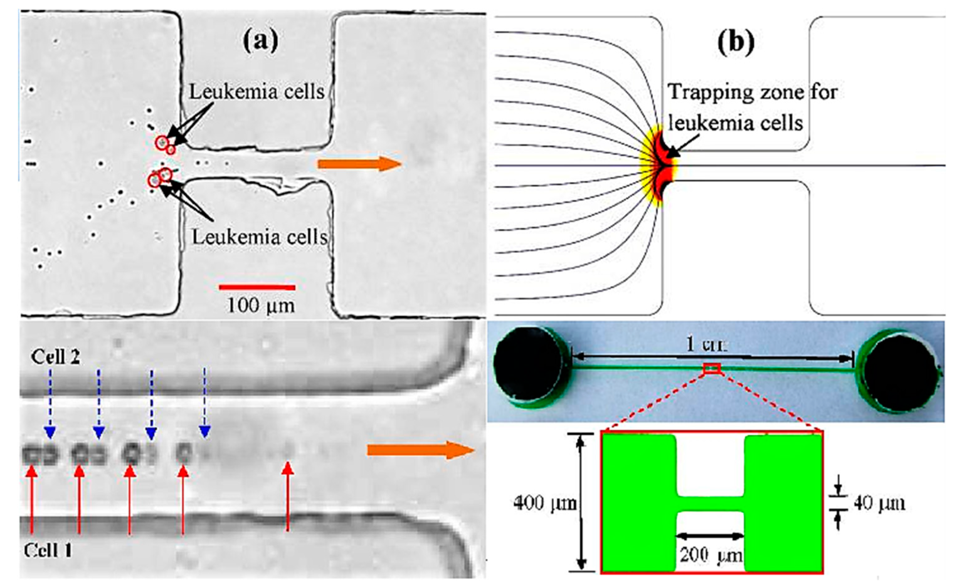 Biosensors 10 00036 g017 Biosensors 10 00036 g017