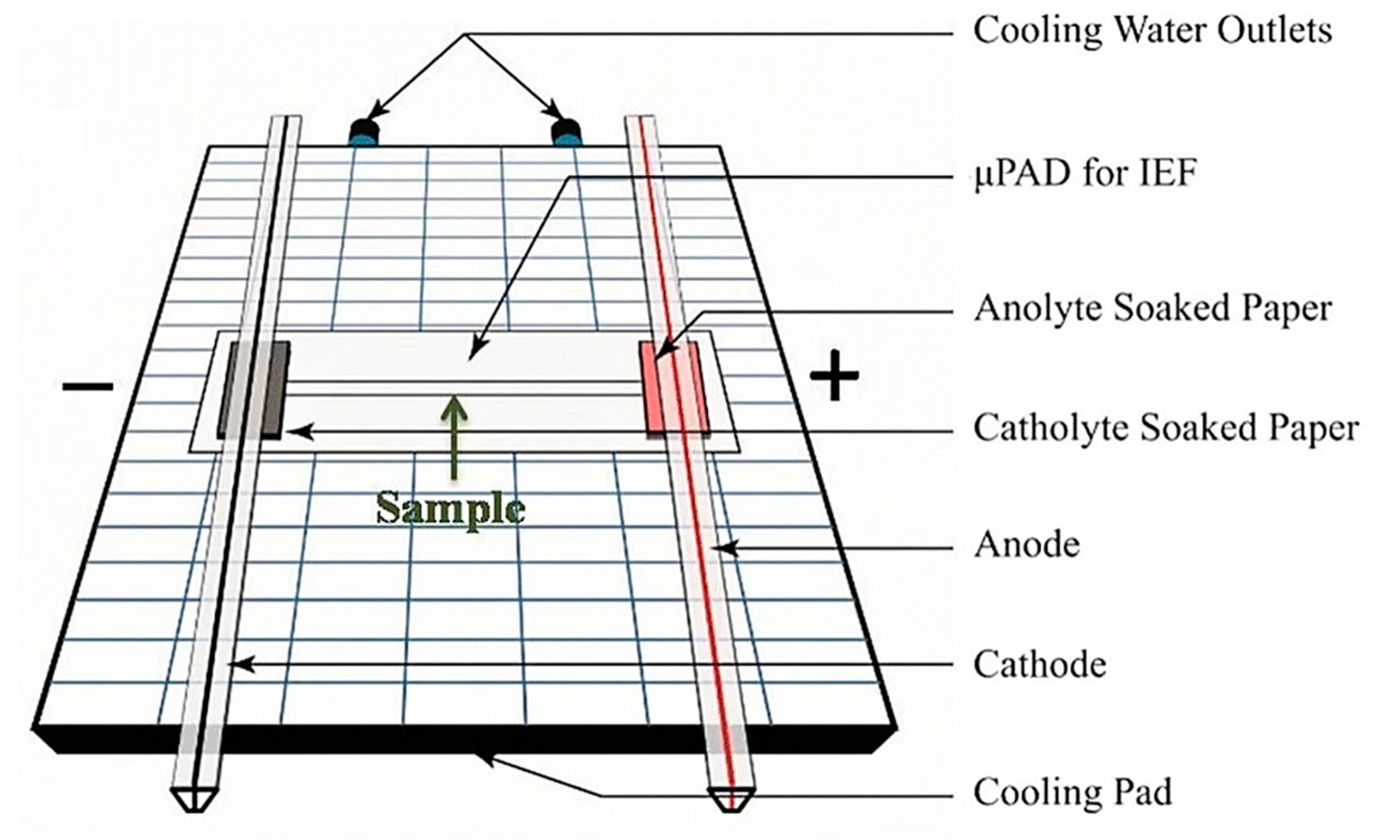 Biosensors 10 00036 g020 Biosensors 10 00036 g020