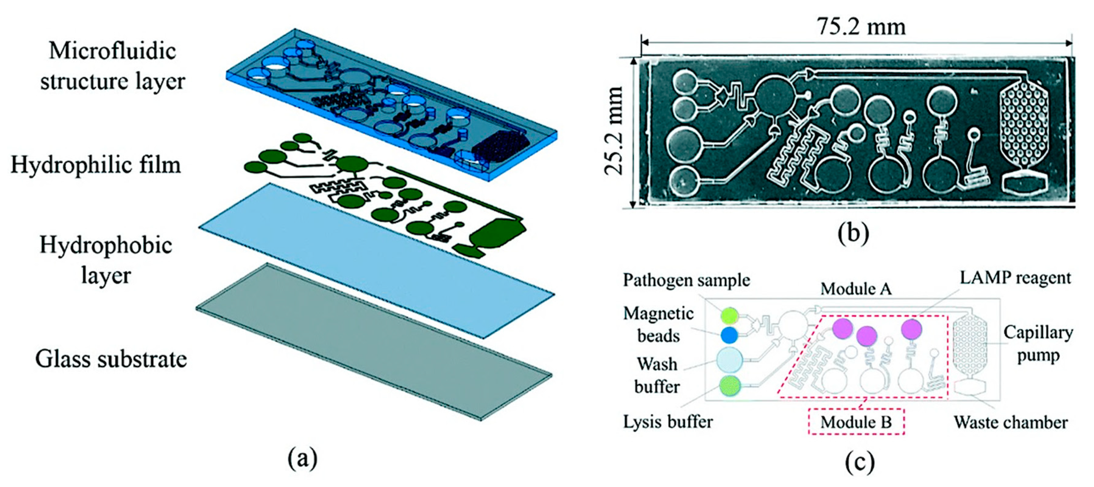 Biosensors 10 00036 g023 Biosensors 10 00036 g023
