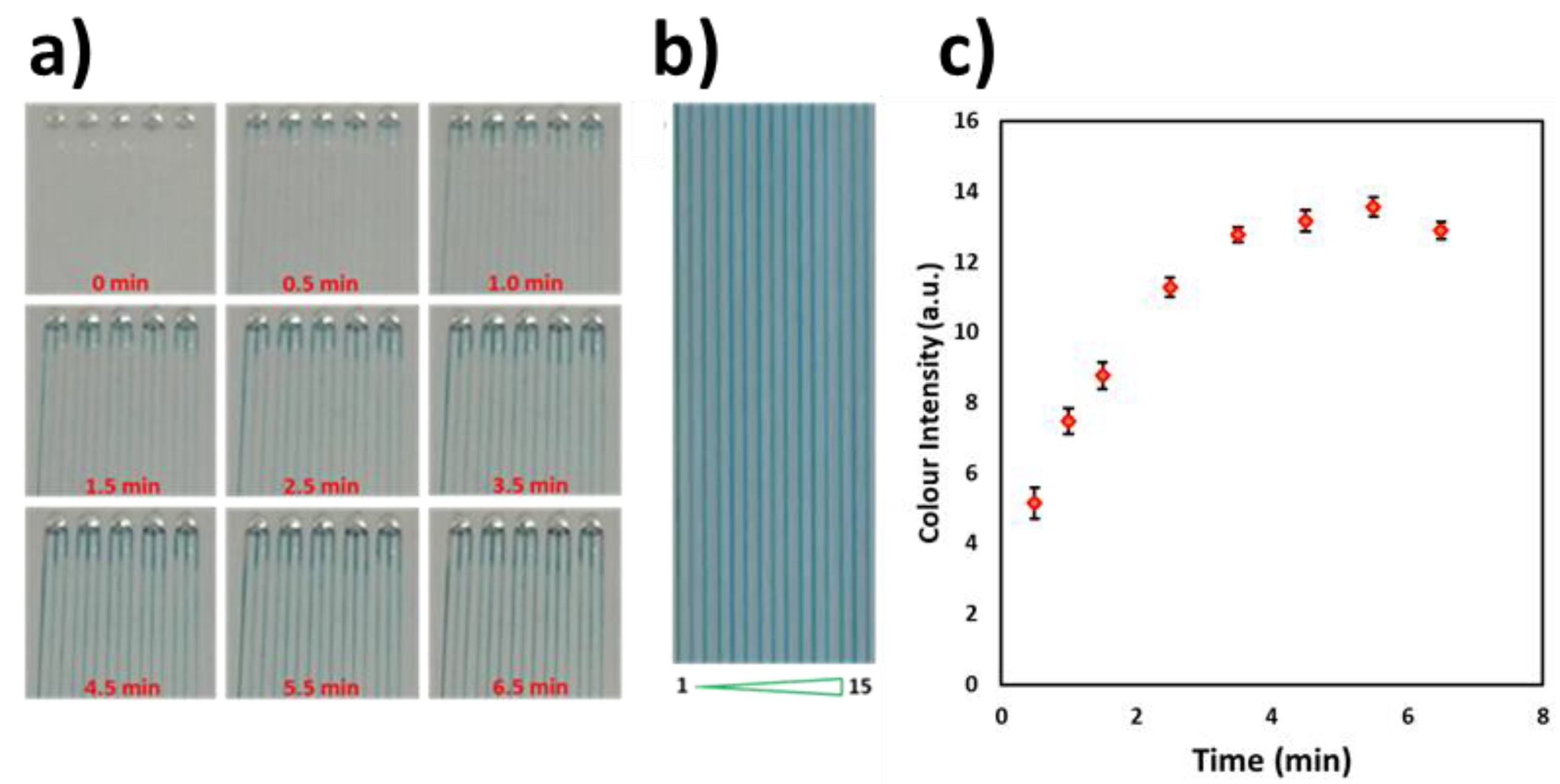 Biosensors 10 00039 g003