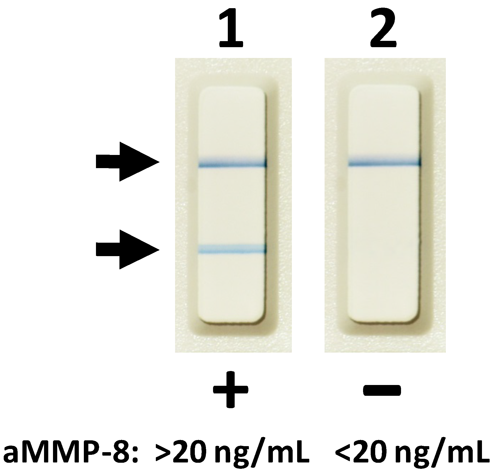 Biosensors 10 00044 g002
