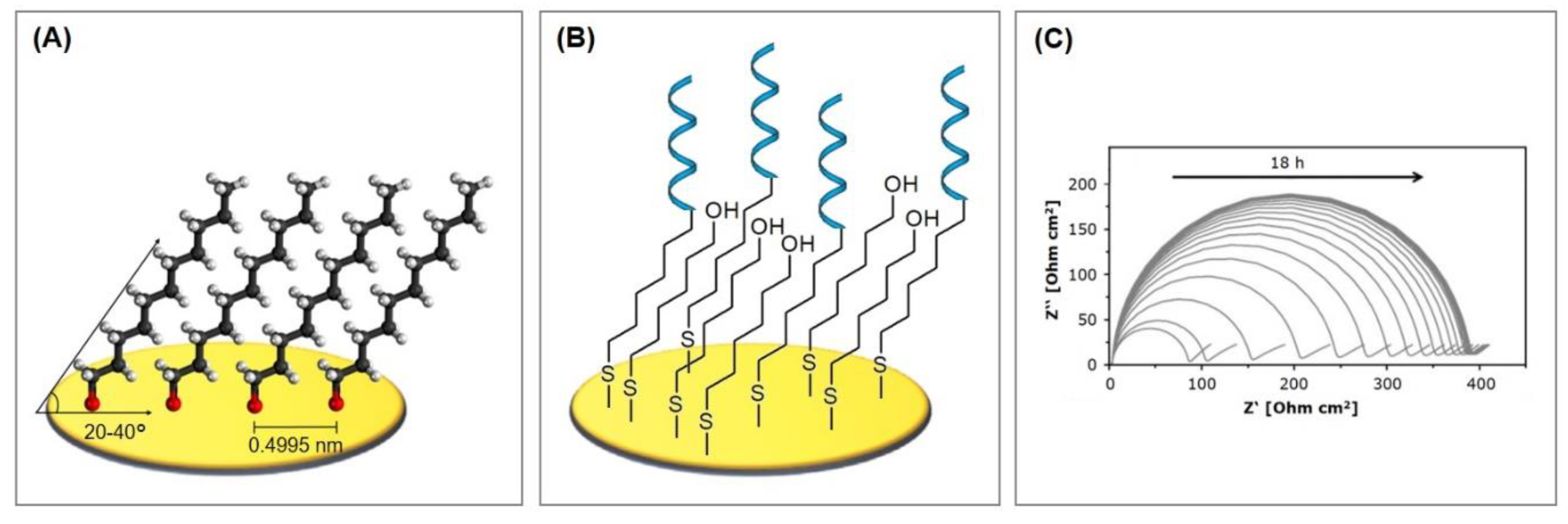 Biosensors 10 00045 g003 Biosensors 10 00045 g003