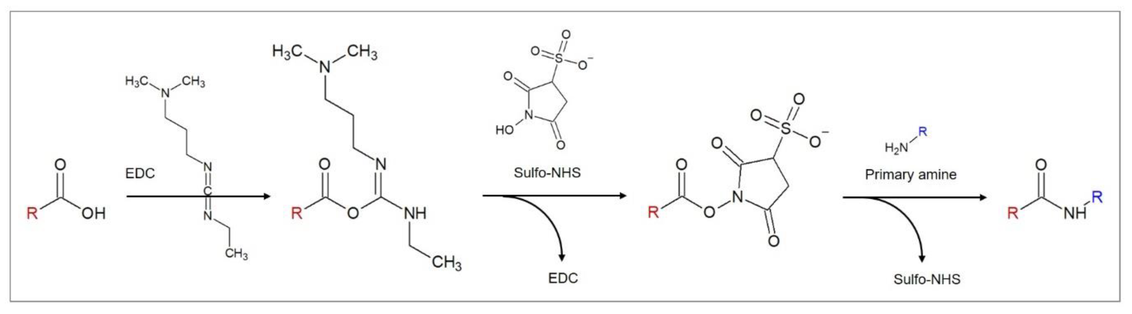 Biosensors 10 00045 g004 Biosensors 10 00045 g004