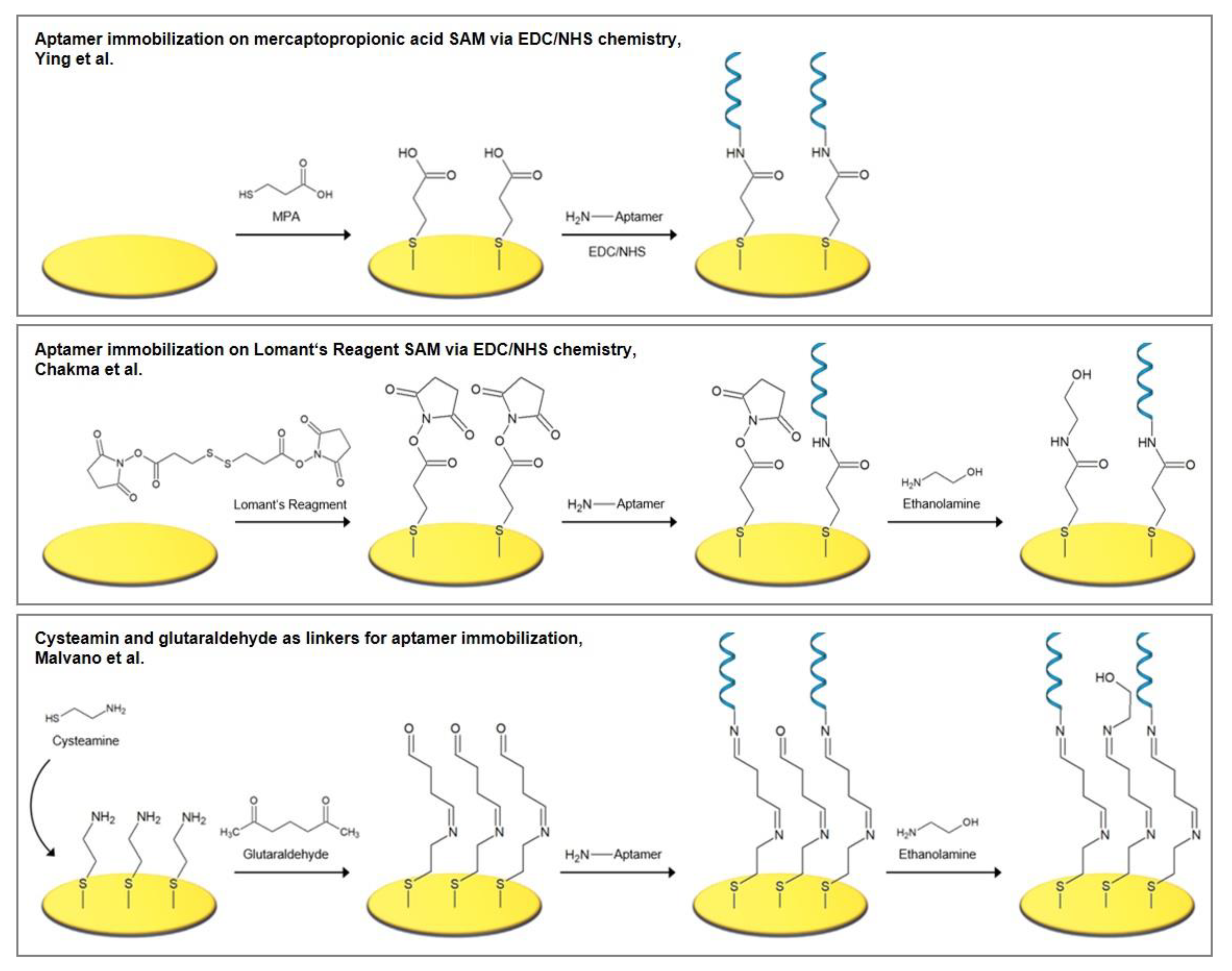 Biosensors 10 00045 g005 Biosensors 10 00045 g005