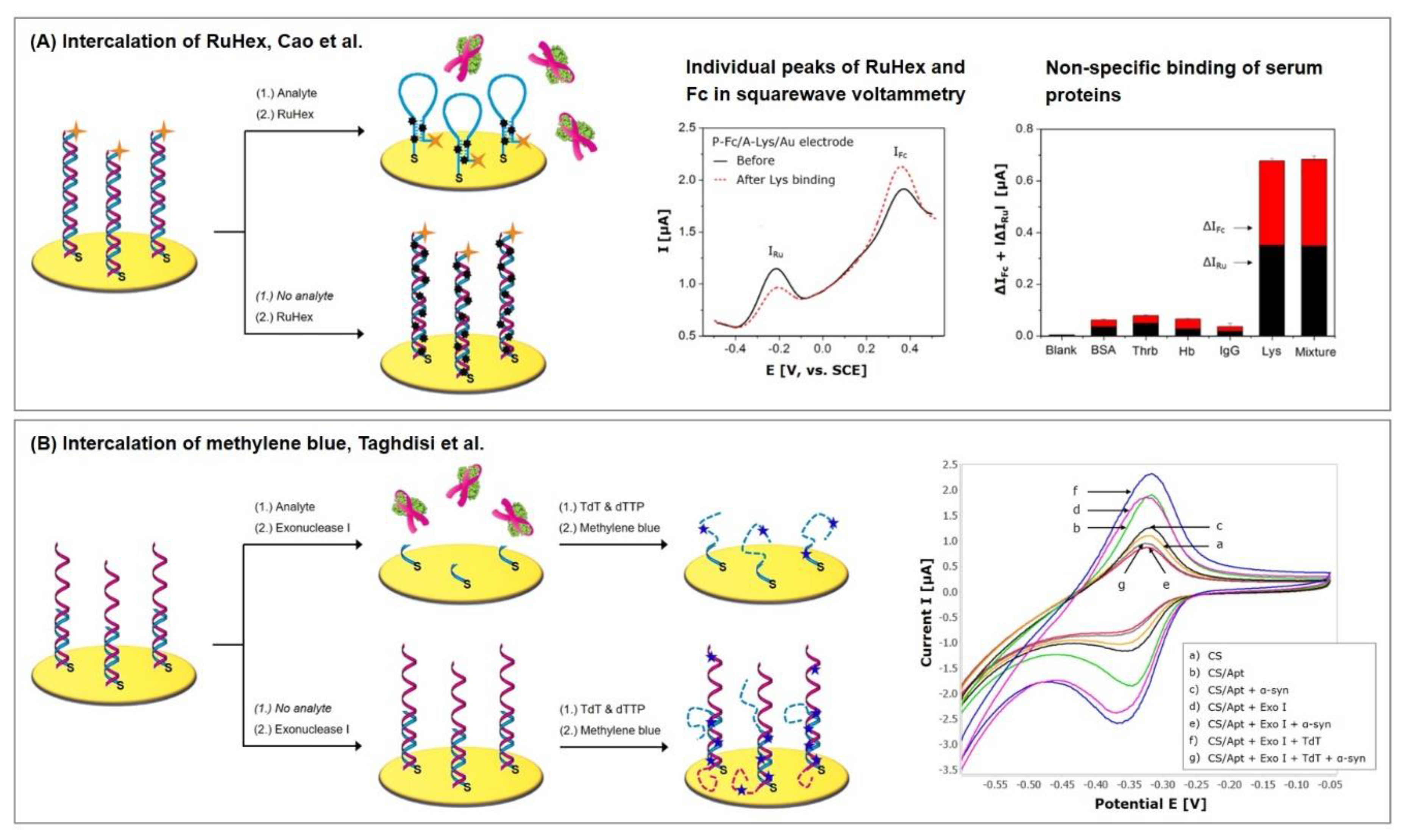 Biosensors 10 00045 g010 Biosensors 10 00045 g010