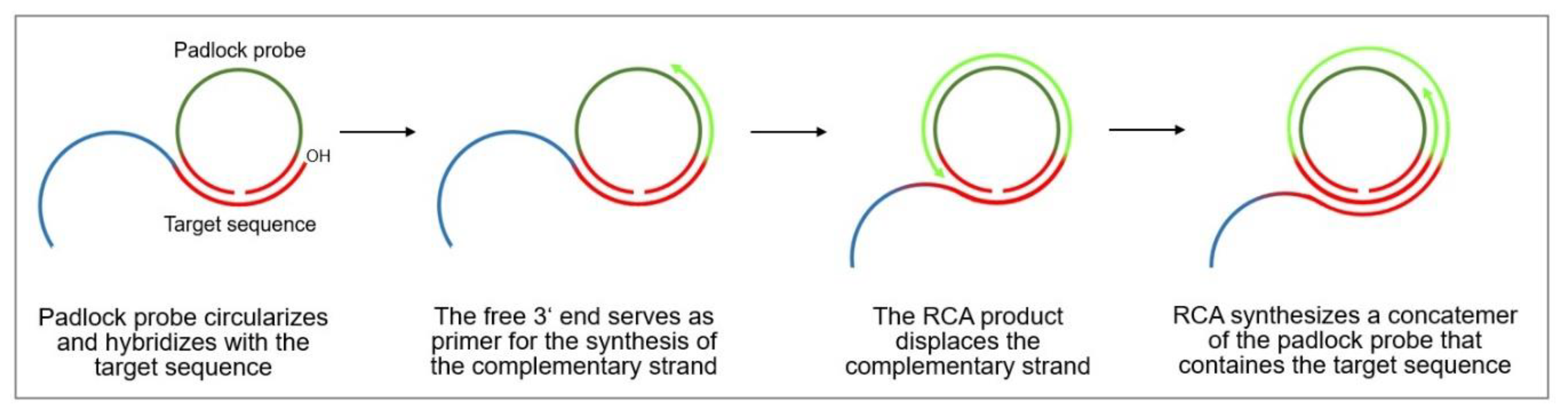 Biosensors 10 00045 g013 Biosensors 10 00045 g013