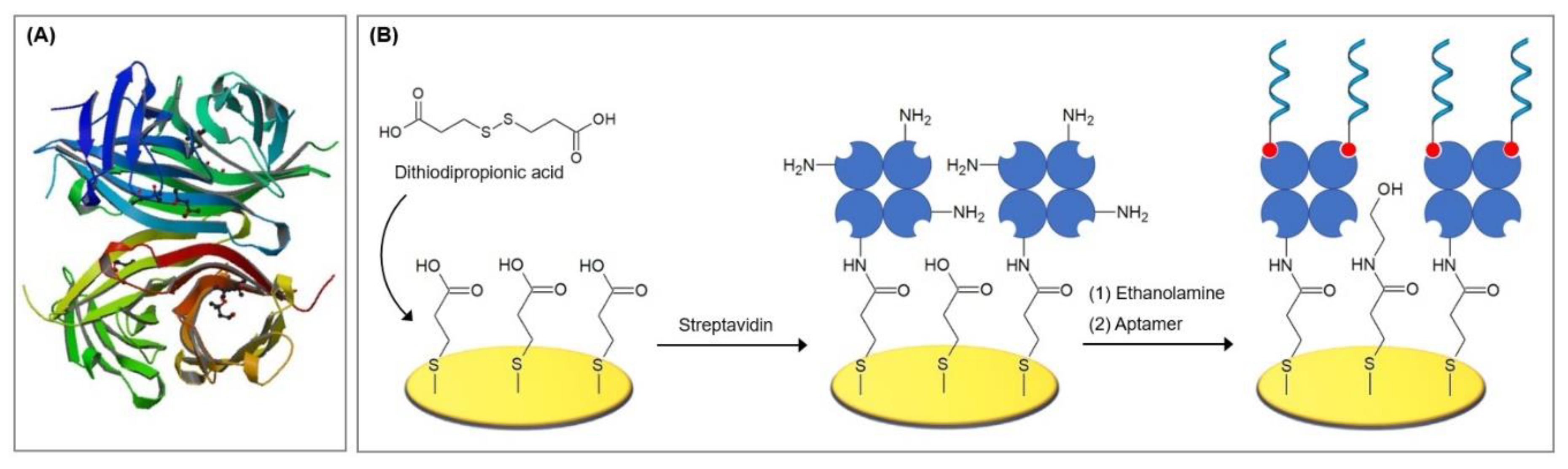 Biosensors 10 00045 g019 Biosensors 10 00045 g019